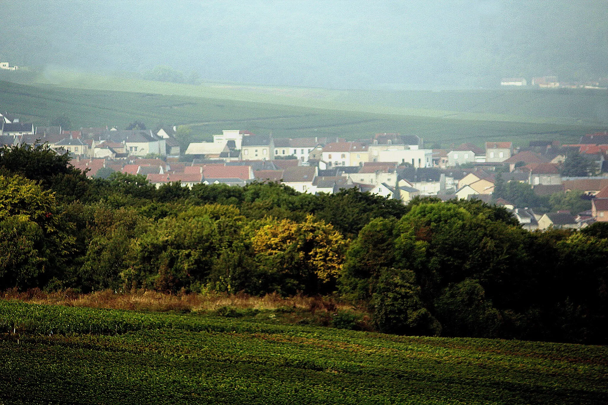 Photo showing: Verzenay, view to Mailly-Champagne