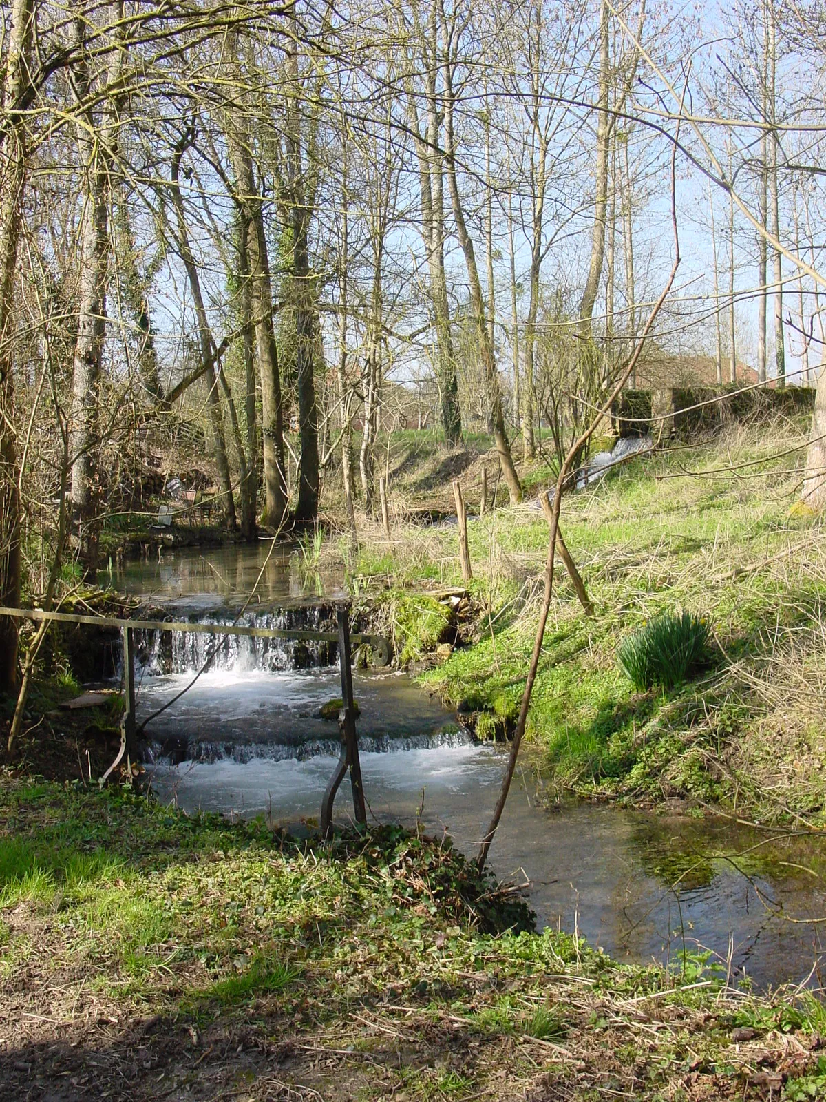 Photo showing: La Mogne rivière prenant sa source à Crésantignes.
