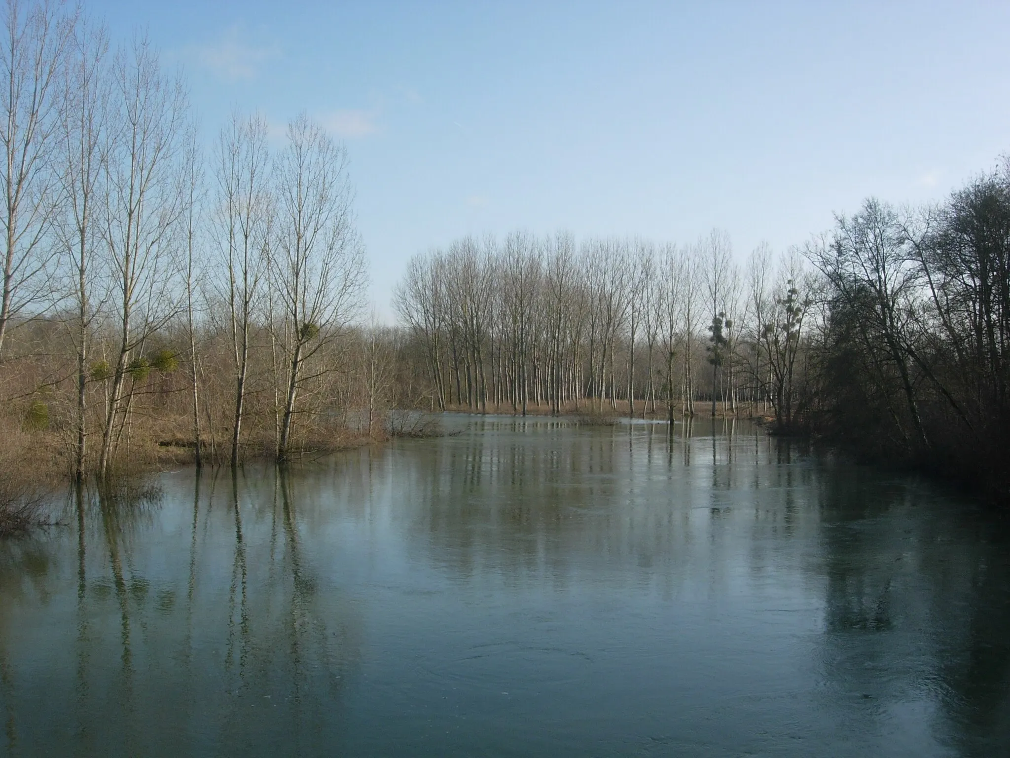 Photo showing: Aube (rivière) en crue - janvier 2012