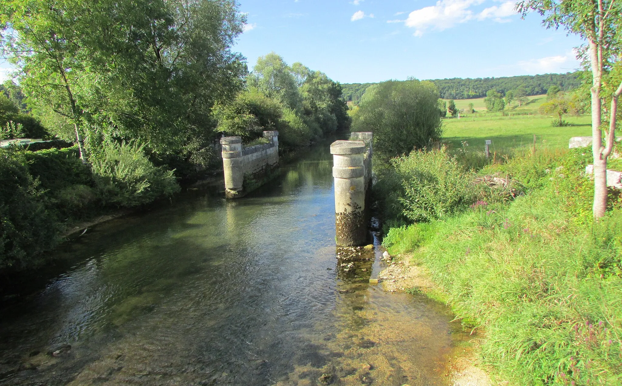 Photo showing: Vestiges du vieux pont sur le Rognon.