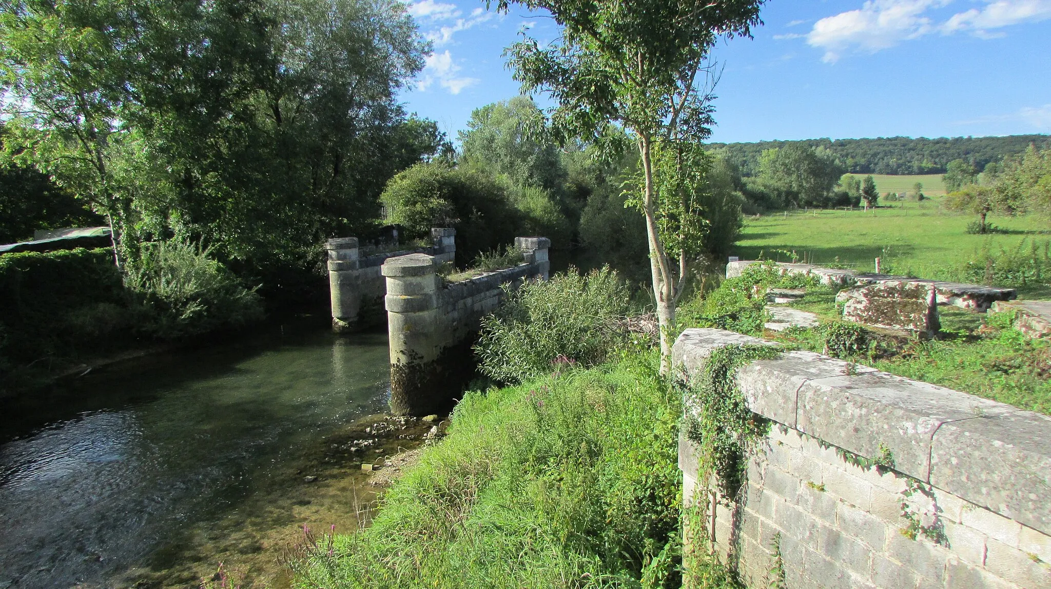 Photo showing: Vestiges du vieux pont sur le Rognon.