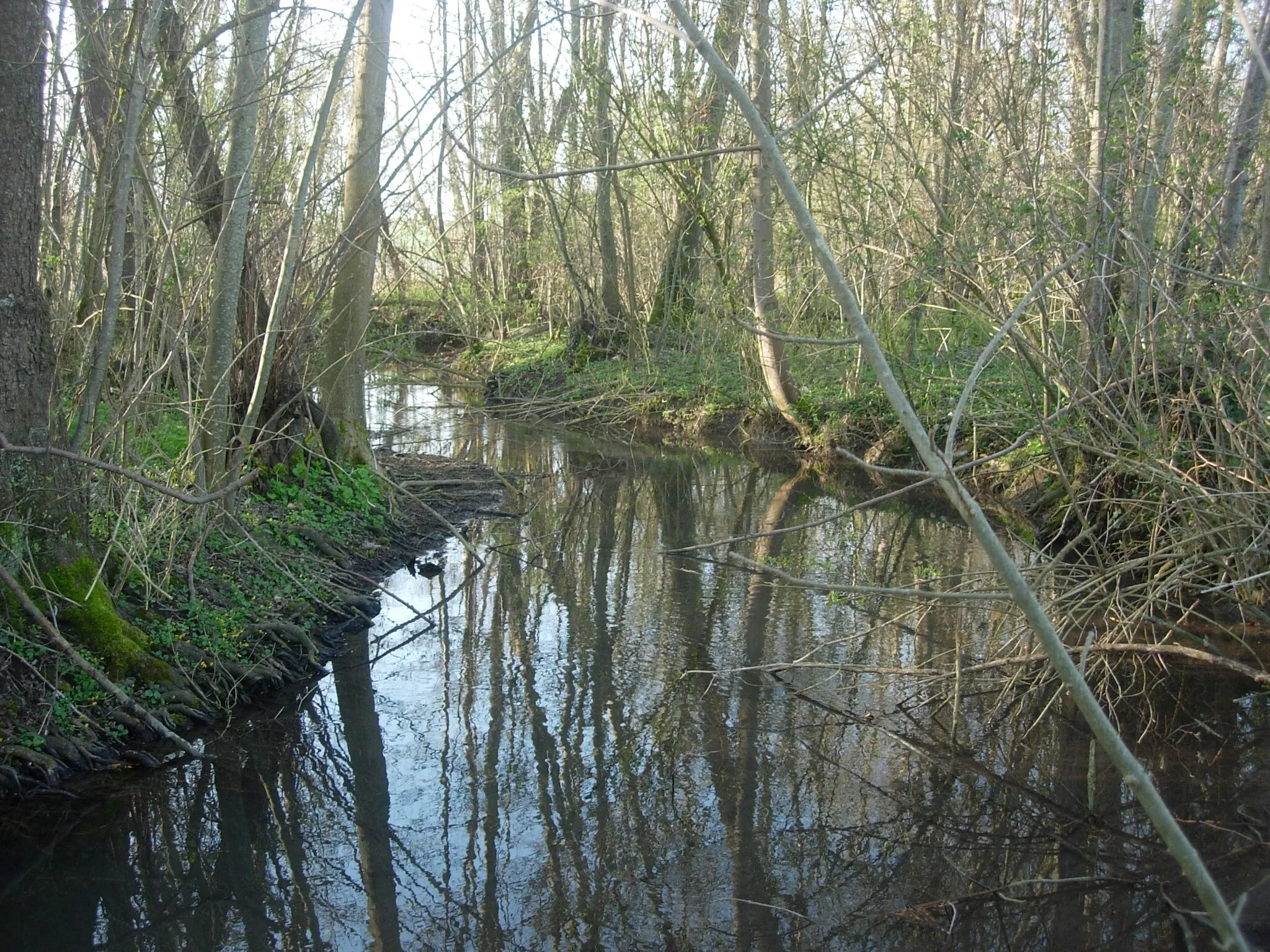 Photo showing: le Betrot à Dierrey-saint-Julien