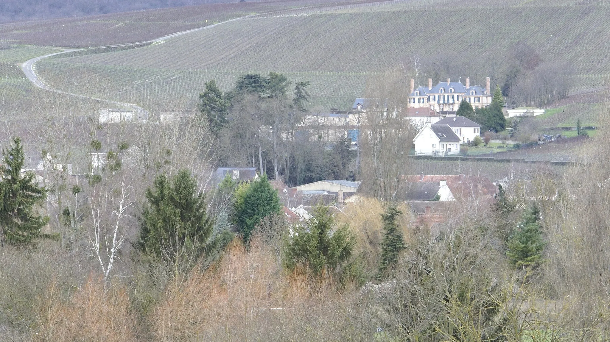 Photo showing: La_Marquetterie, château  à_Pierry .