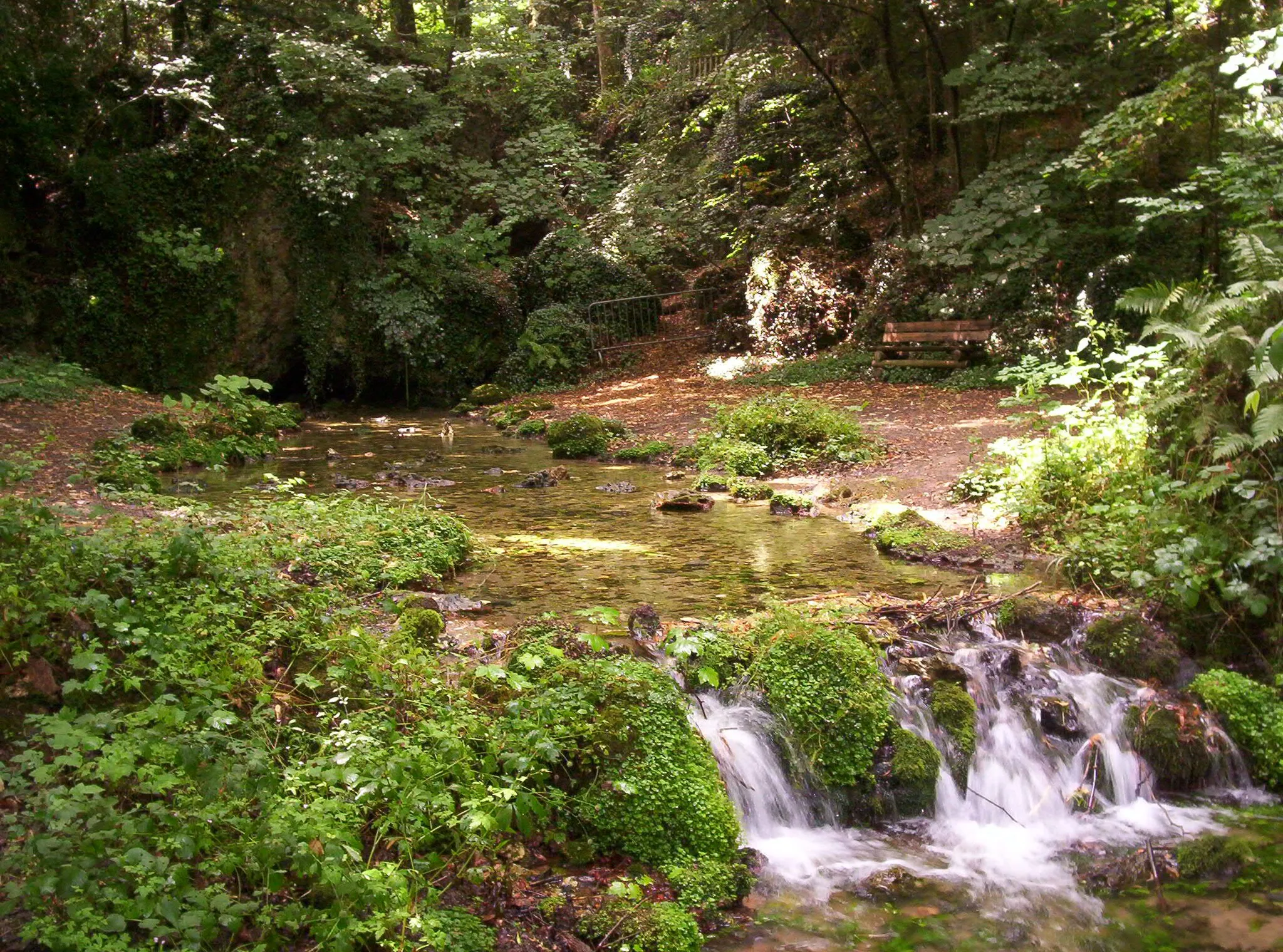 Photo showing: Parc du Sourdon - Saint-Martin-d'Ablois, Marne, France.