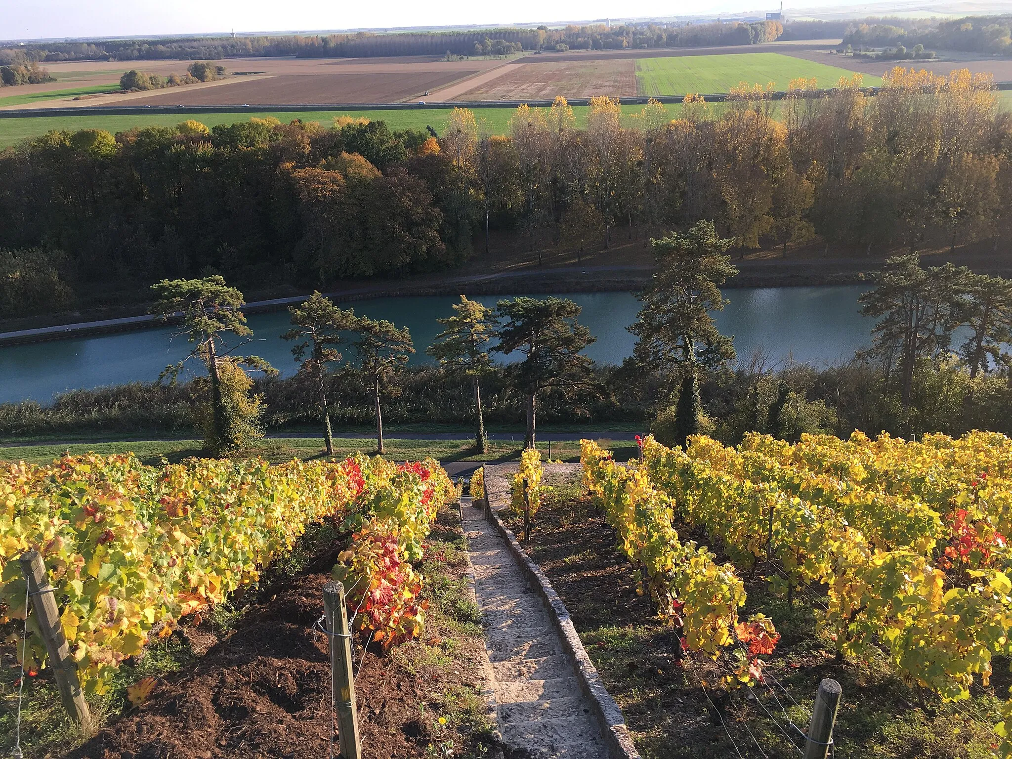 Photo showing: Vignoble du Clos des Goisses