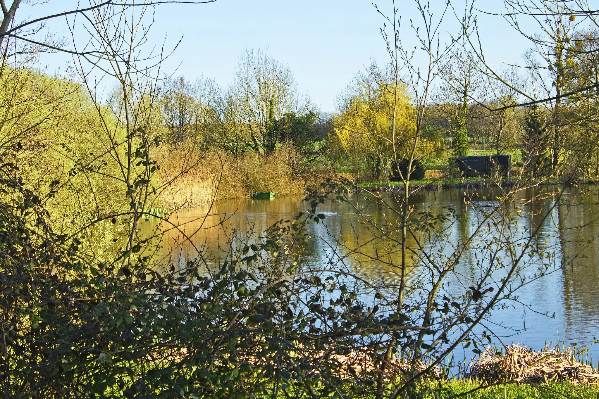 Photo showing: Southern pond in Champ-sur-Barse