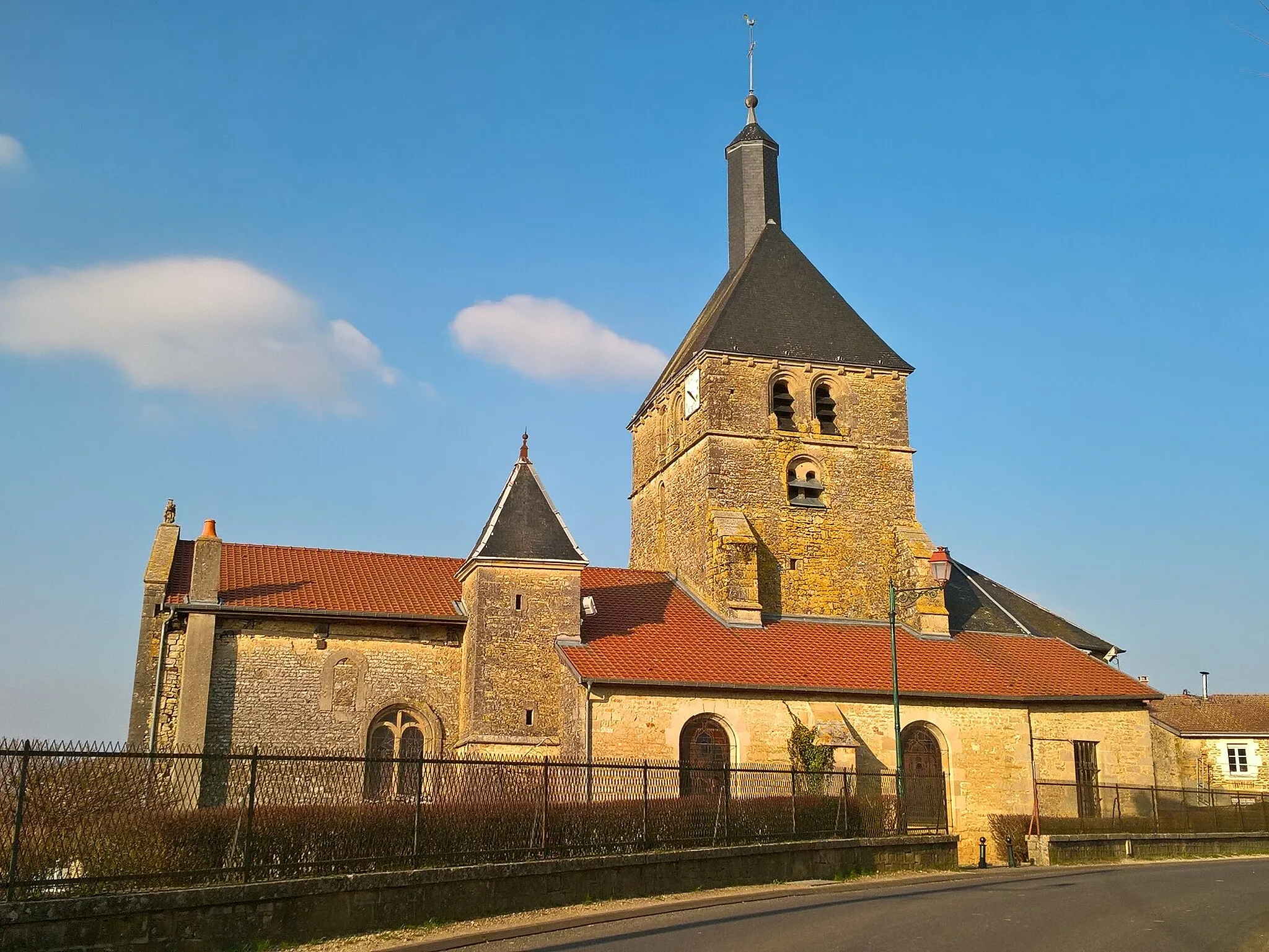 Photo showing: Dommartin-le-Franc, église Saint-Martin vue du sud.