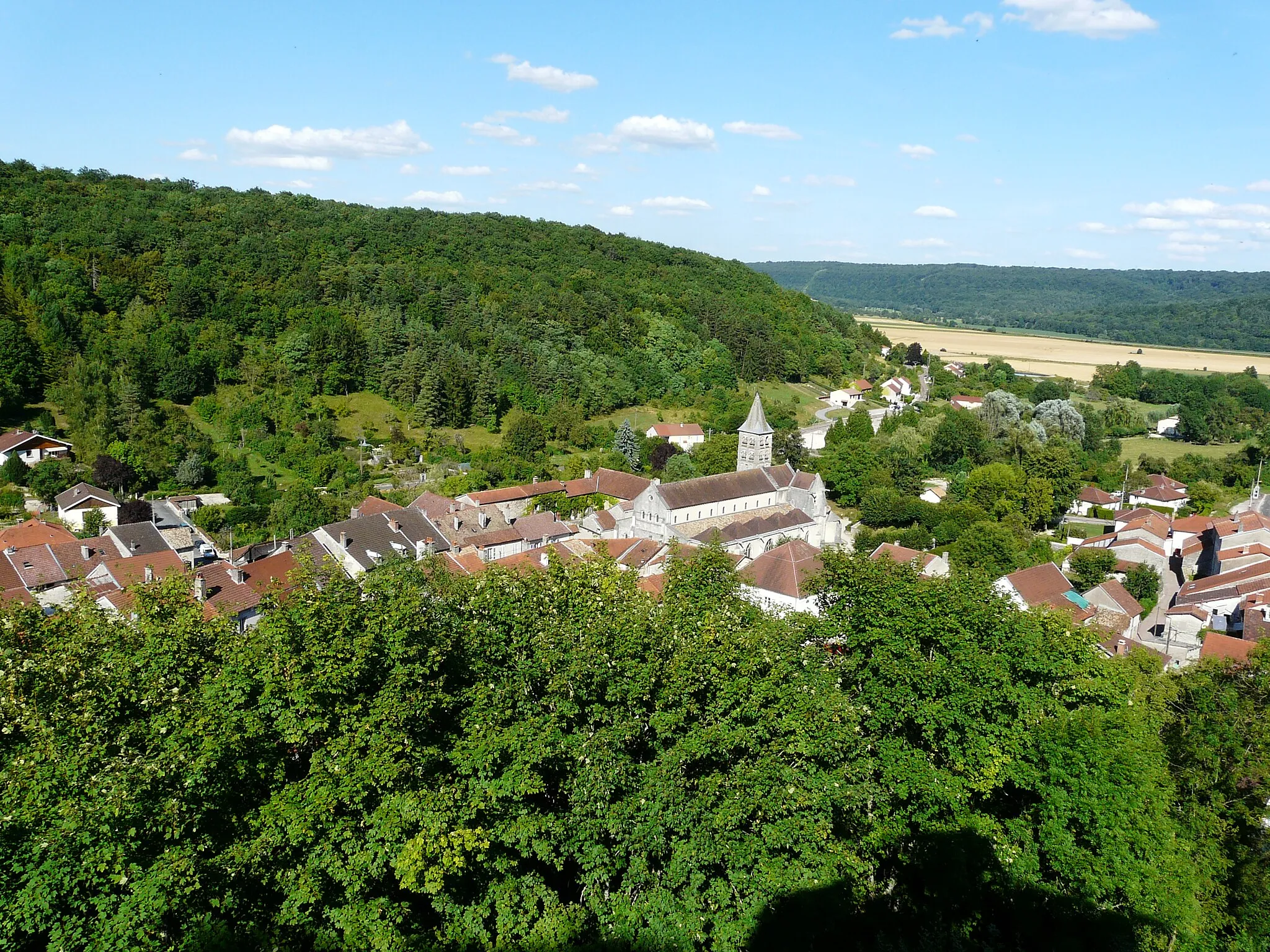 Photo showing: Vignory : le bourg dans son vallon