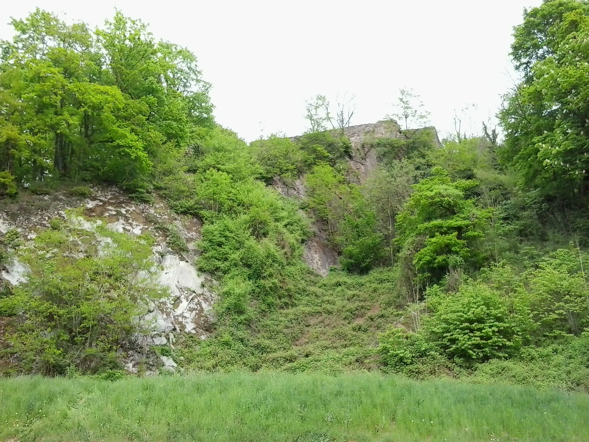 Photo showing: Le château des Fées, château défait ou encore château du Waridon est une forteresse médiévale dont les ruines se trouvent sur le cours supérieur de la Meuse française à hauteur du village du Waridon (commune de Montcy-Notre-Dame) dans le département des Ardennes