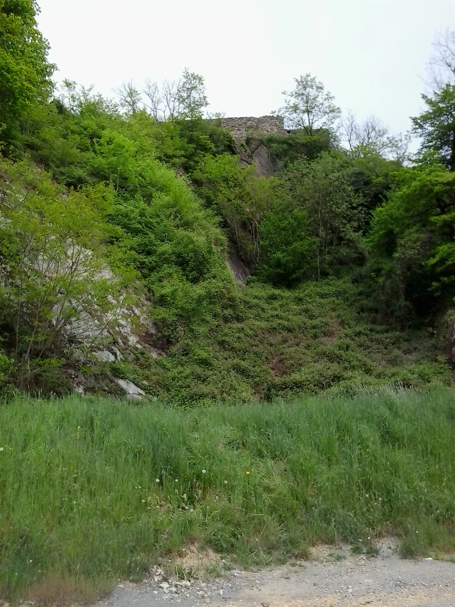 Photo showing: Le château des Fées, château défait ou encore château du Waridon est une forteresse médiévale dont les ruines se trouvent sur le cours supérieur de la Meuse française à hauteur du village du Waridon (commune de Montcy-Notre-Dame) dans le département des Ardennes