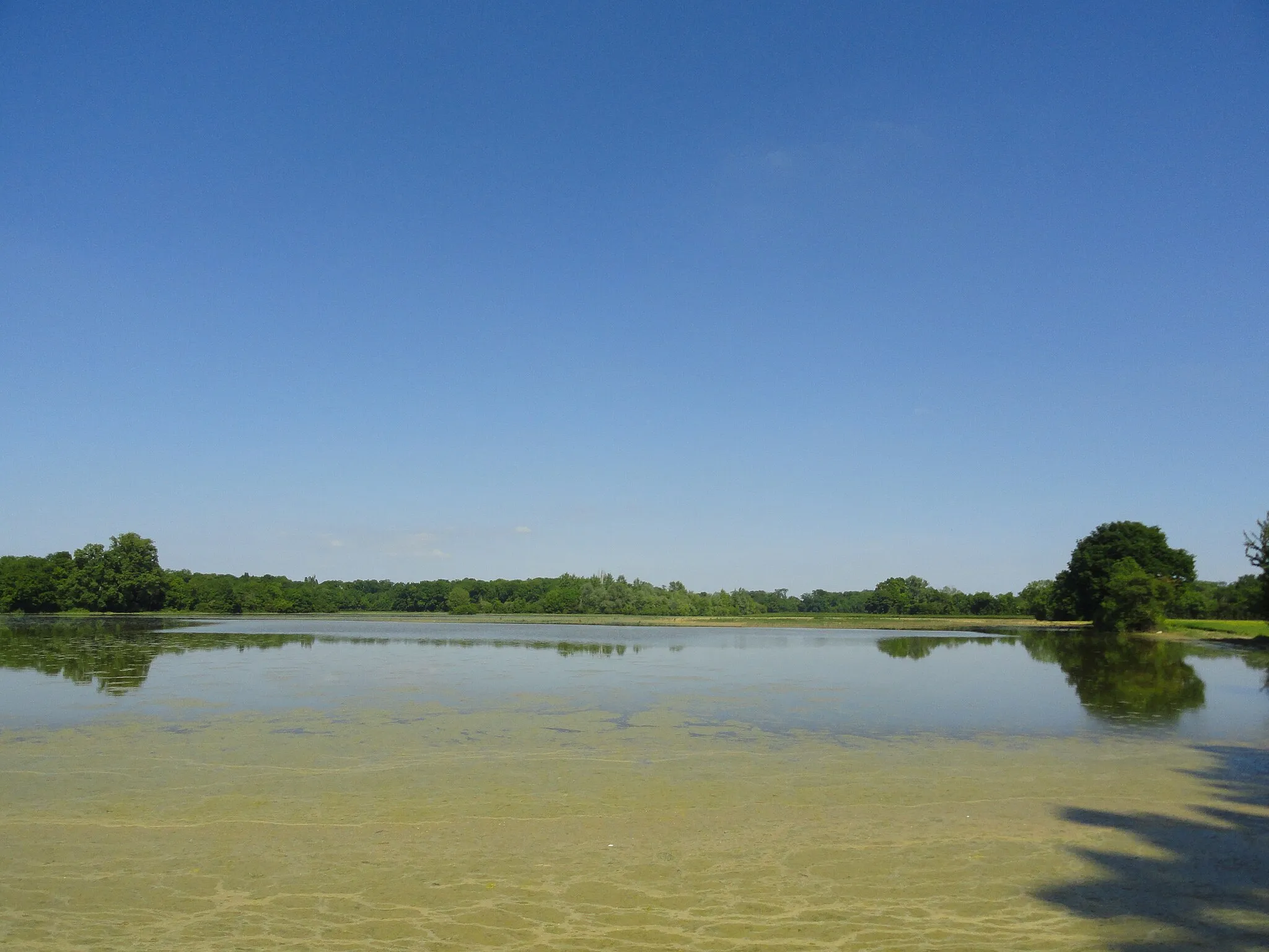 Photo showing: La plaine de la Marne entre Bisseuil et Plivot inondée en juin 2013.