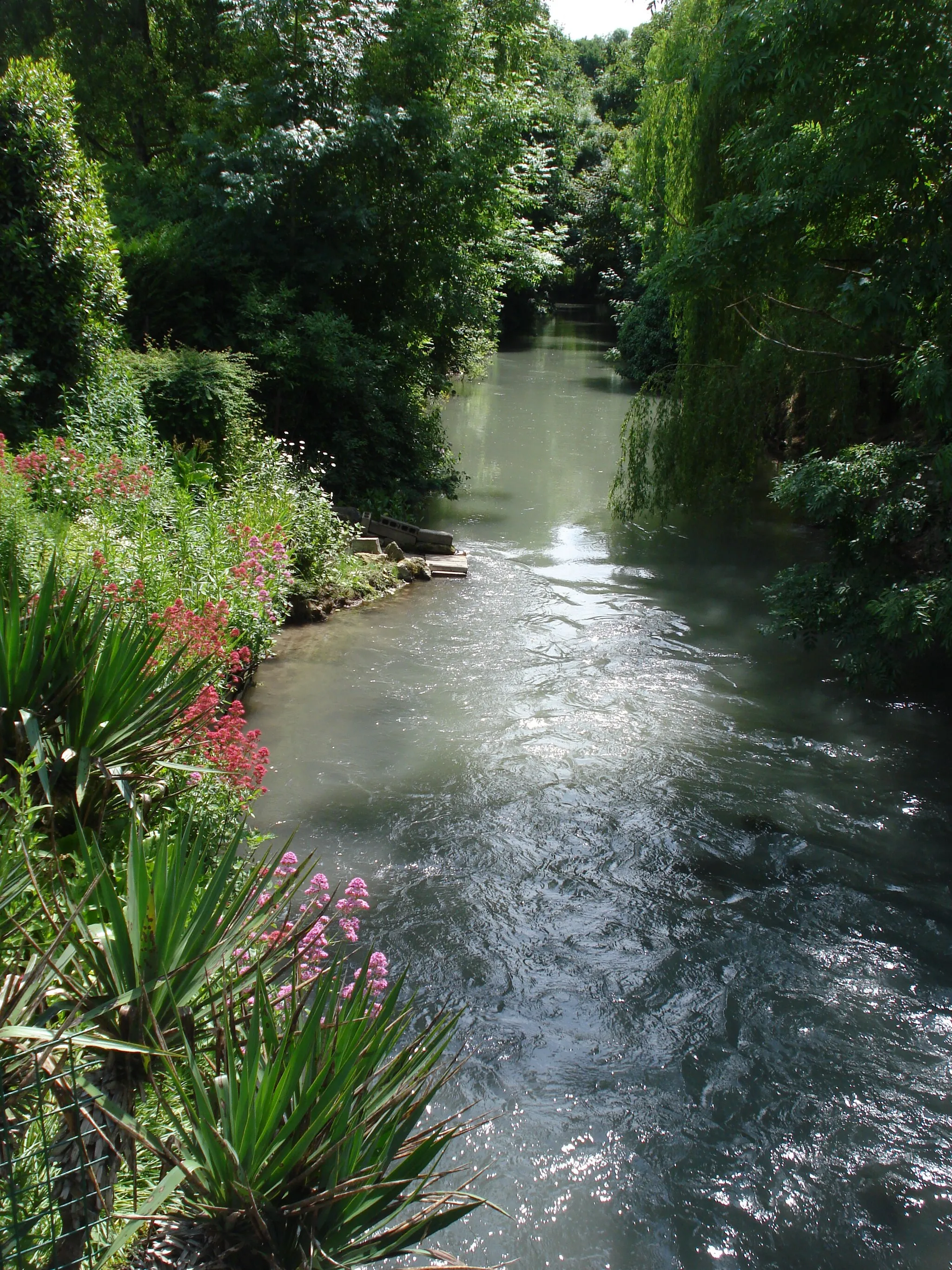 Photo showing: Suippe River at Pontfaverger-Moronvilliers (Marne, Fr)