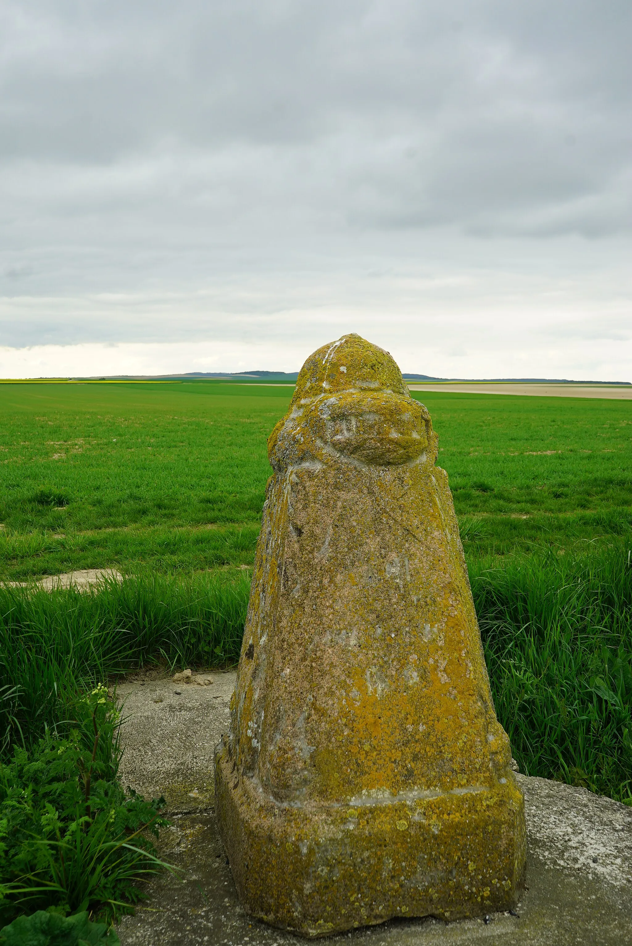 Photo showing: lors du "Centenaire de la bataille des monts de champagne".