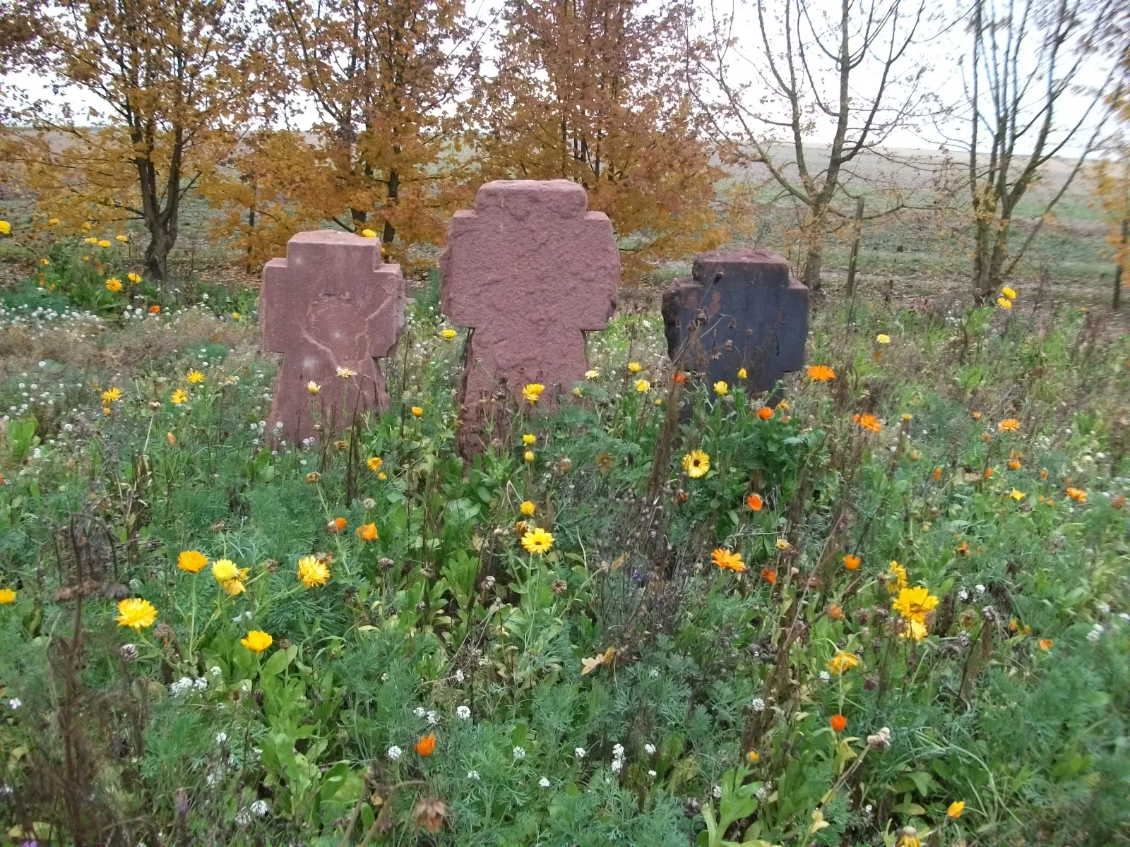 Photo showing: Nécropole nationale (Aubérive), partie à gauche et paysagée du monument allemand.