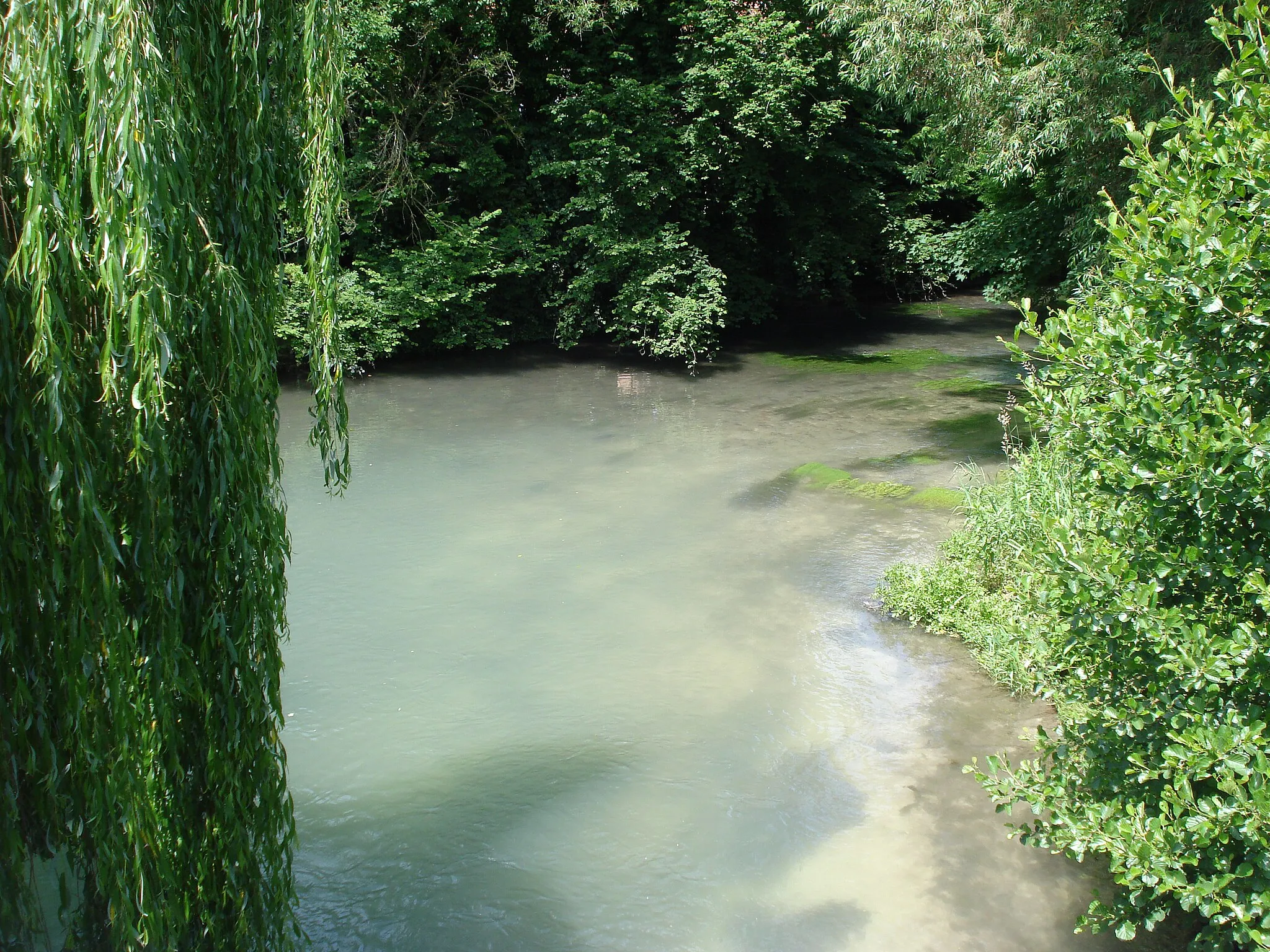 Photo showing: Vesle river at Val-de-Vesle (Courmelois), Marne, Fr.