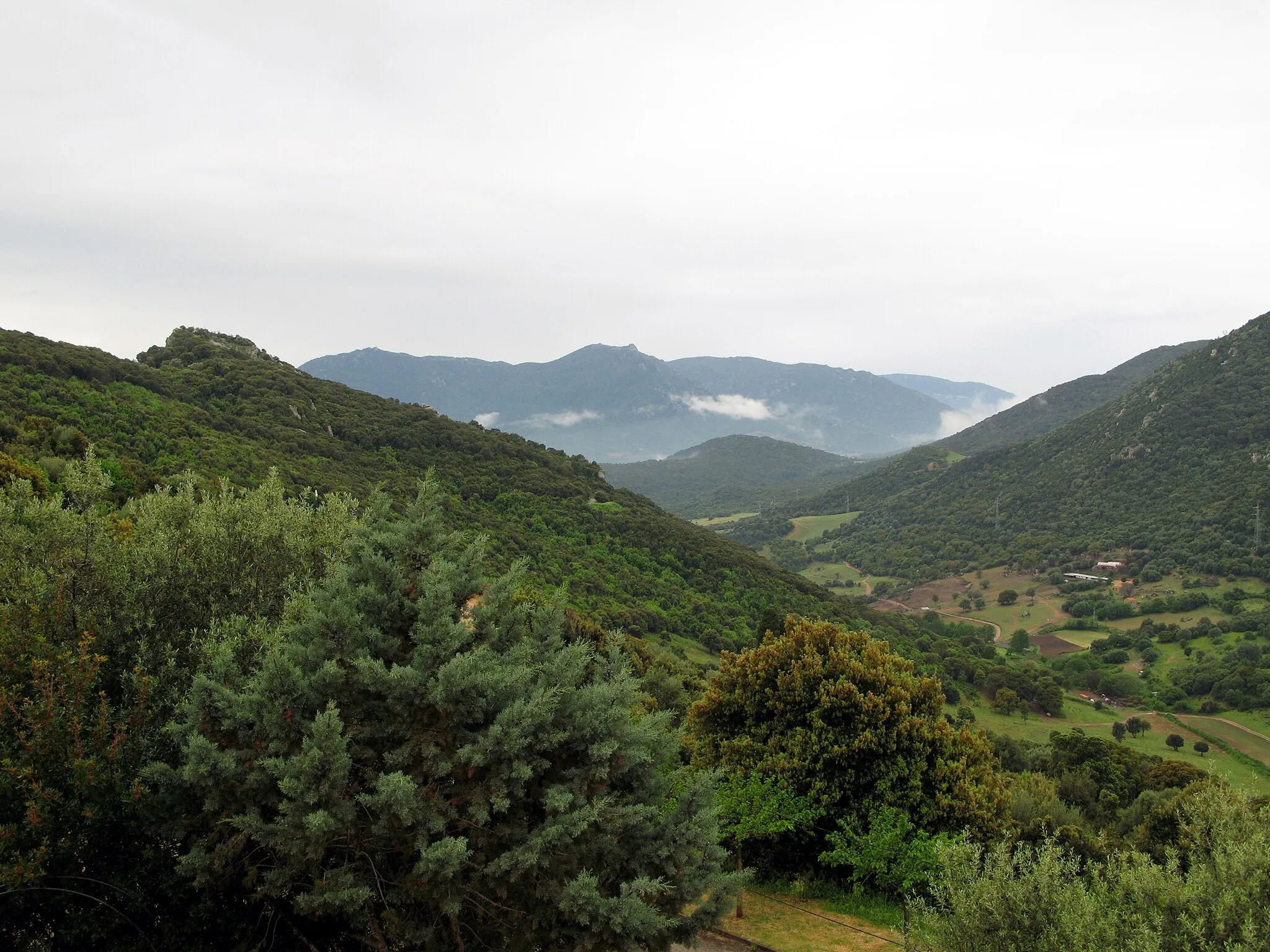 Photo showing: Arbellara (Corse-du-Sud, France)
Nuages remontant la vallée par une matinée de printemps.
Le mince filet vert (commençant sur le bord droit de la photo), dessinant la ligne la plus basse entre les 2 versants, est en fait, non un vrai petit ruisseau, mais un petit sillon par lequel s'évacuent les eaux usées du village à droite (plus en hauteur), celui-ci ne disposant pas de tout-à-l'égout ou de station d'épuration.

Camera location 41° 40′ 57.39″ N, 8° 59′ 21.96″ E View this and other nearby images on: OpenStreetMap 41.682608;    8.989434