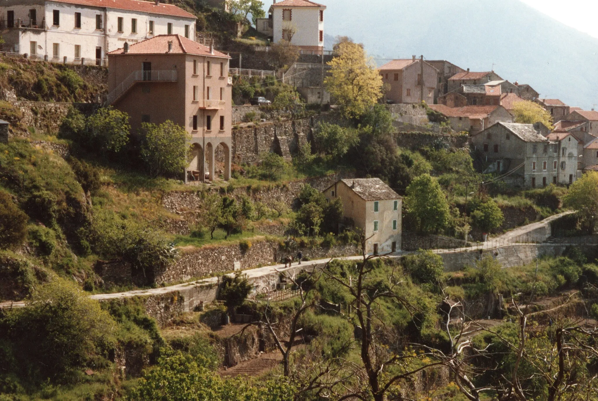 Photo showing: Lento Corsica