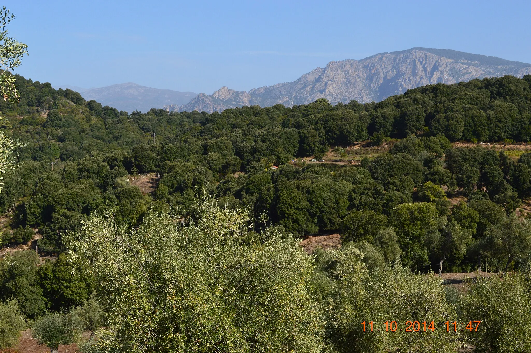 Photo showing: A View of Arro