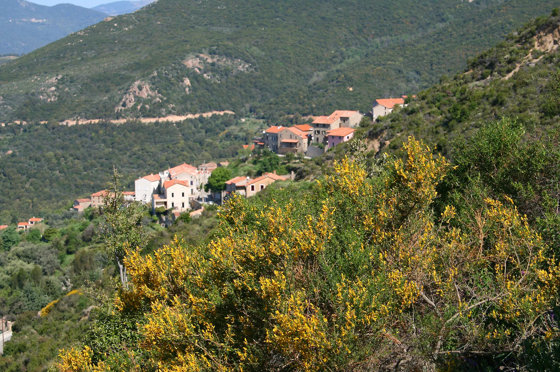 Photo showing: Sari-d'Orcino - France - ( Corse du Sud), view of the village.
