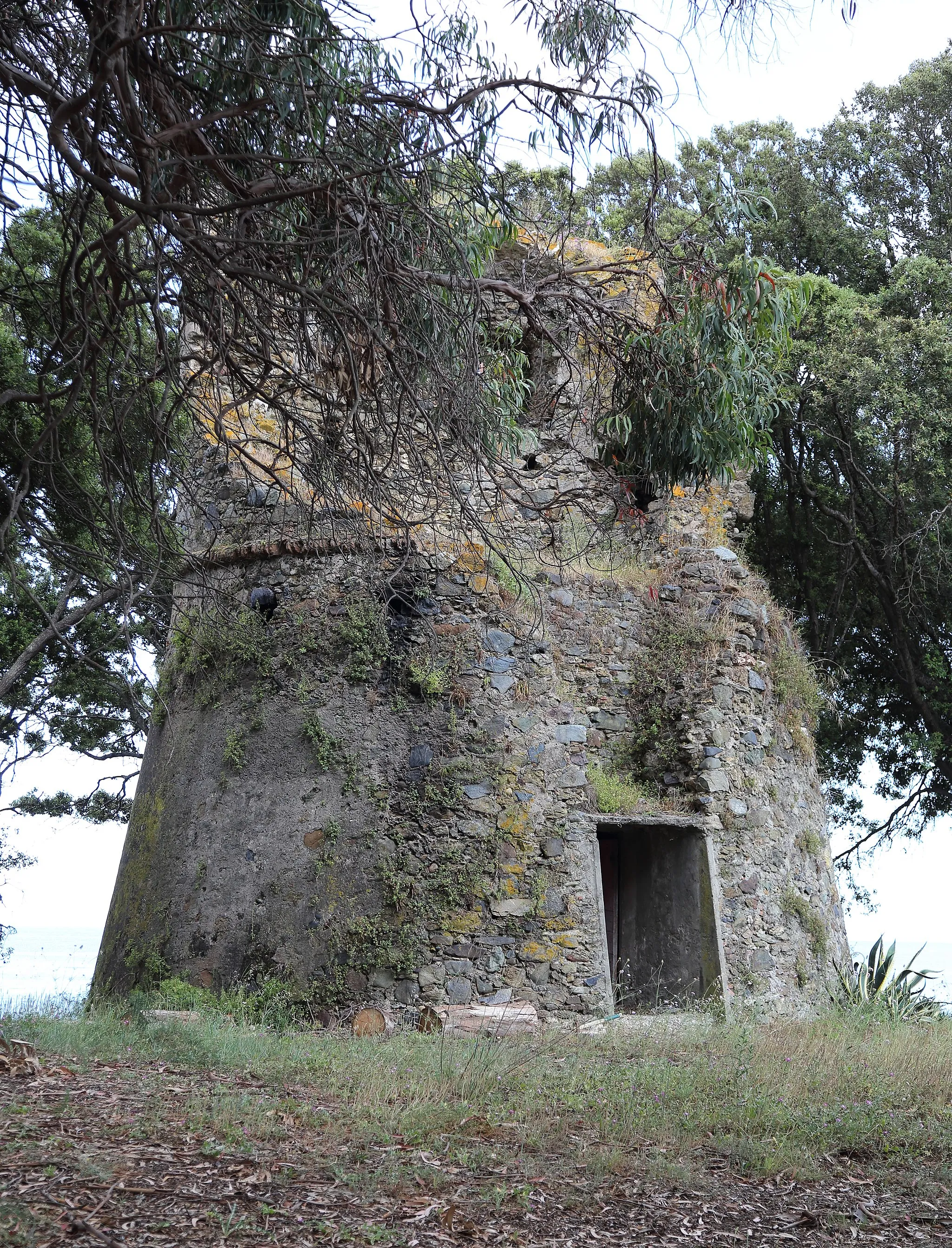 Photo showing: The ruins of the Tour d'Alistro. The Genoese tower is located in the commune of Canale-di-Verde on the east coast of Corsica