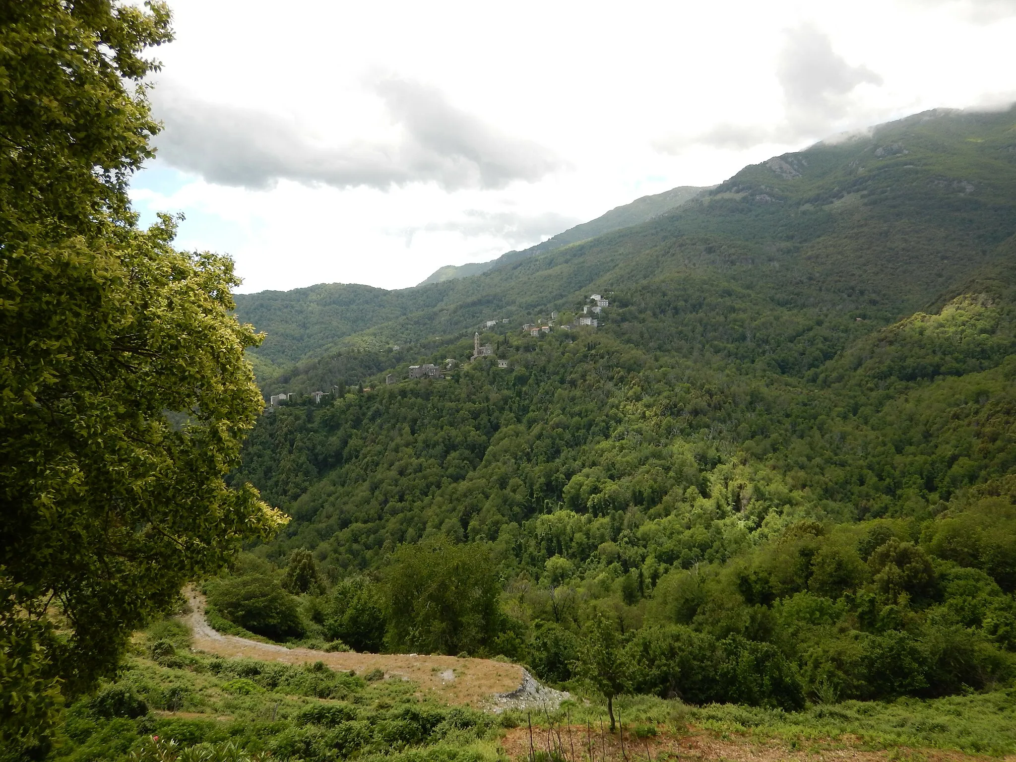 Photo showing: The valley of Fiumalto with the village of Carcheto from Piedicroce, Corsica