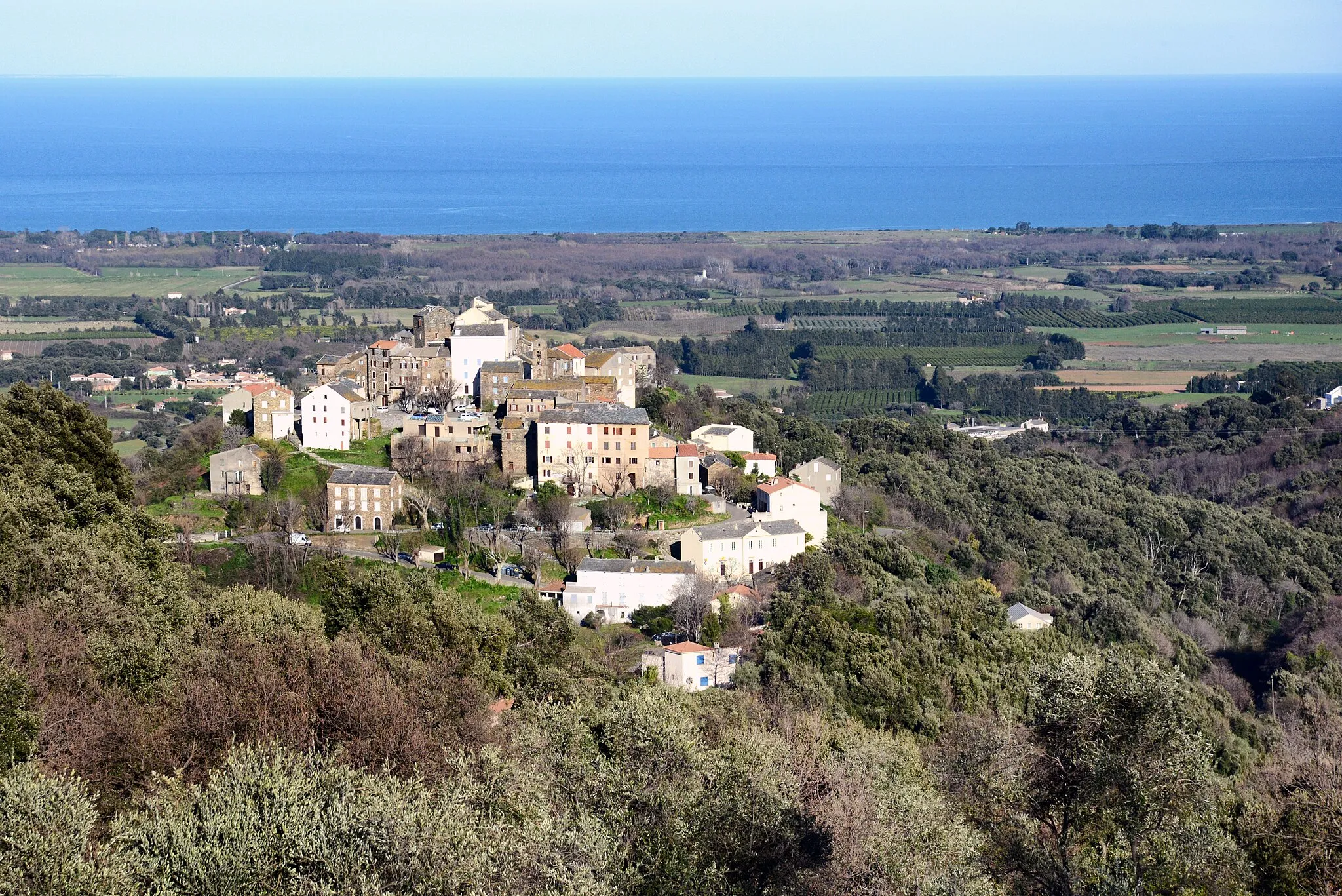 Photo showing: Castellare-di-Casinca, Haute-Corse - Vue du village et du territoire communal.