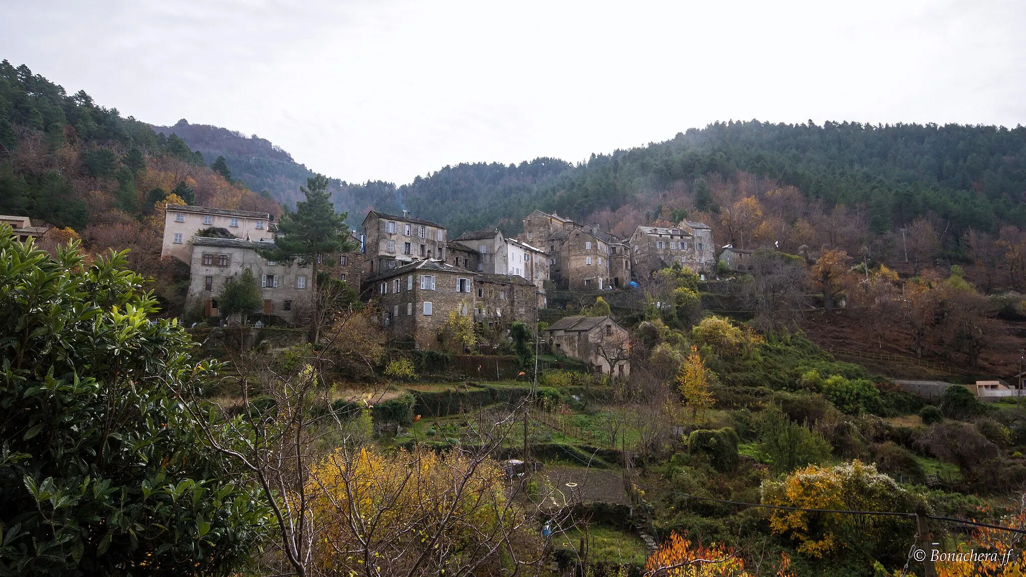 Photo showing: Saliceto, Rostino (Corse) - Vue du village depuis la route vers Gavignano (D639)