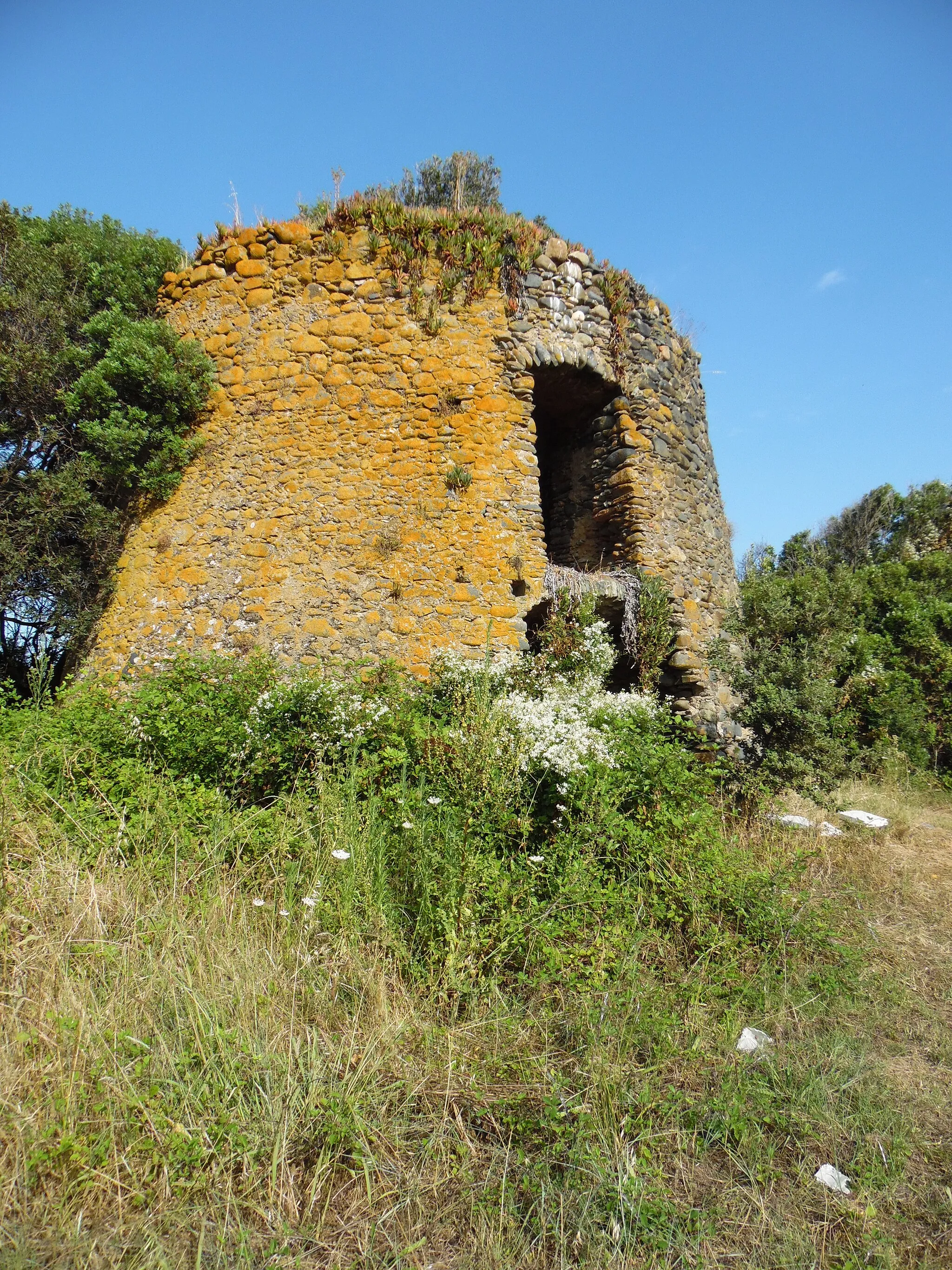 Photo showing: San Giuliano, Corse - Torra Fiorentine, tour génoise construite vers 1580, en ruines.