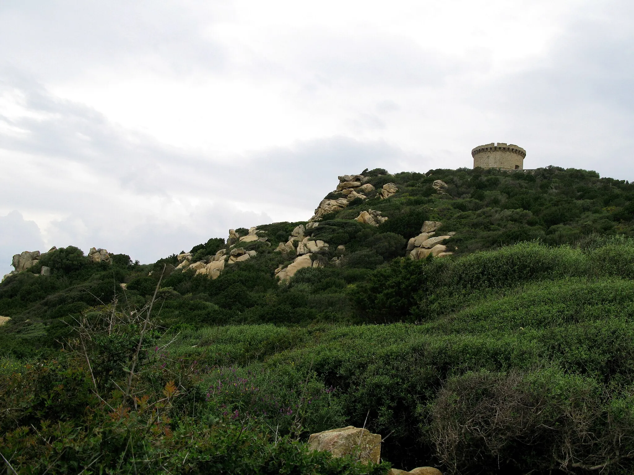 Photo showing: Belvédère-Campomoro (Corse-du-Sud, France) - La tour génoise.
Aperçue pour la première fois à travers la végétation en montant le sentier qui y mène.

Camera location 41° 38′ 14.06″ N, 8° 48′ 30.69″ E View this and other nearby images on: OpenStreetMap 41.637240;    8.808525