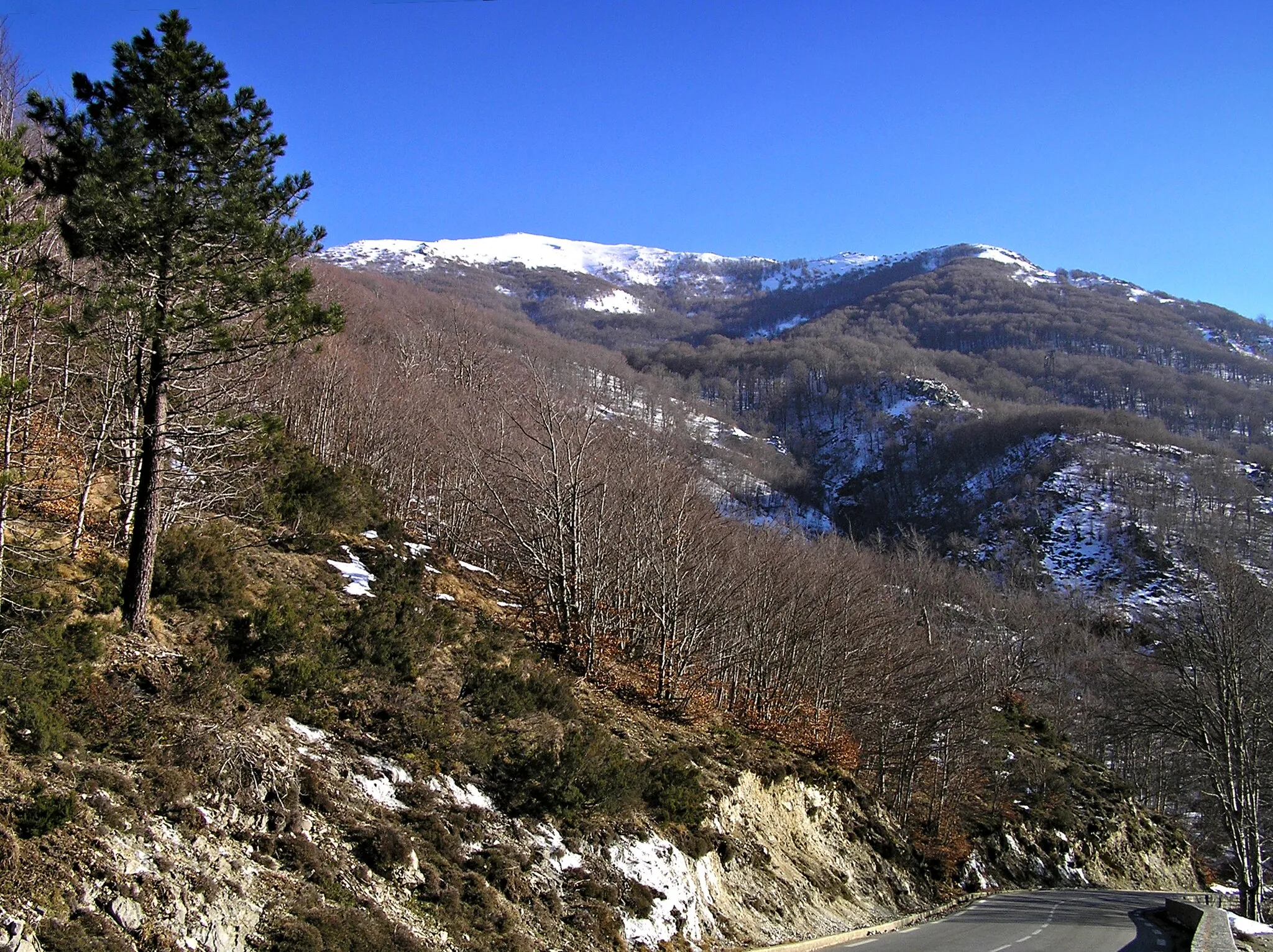 Photo showing: Bocognano (Haute-Corse) - Descente du col de Vizzavona avec la Punta Scarpiccia (1813 m)