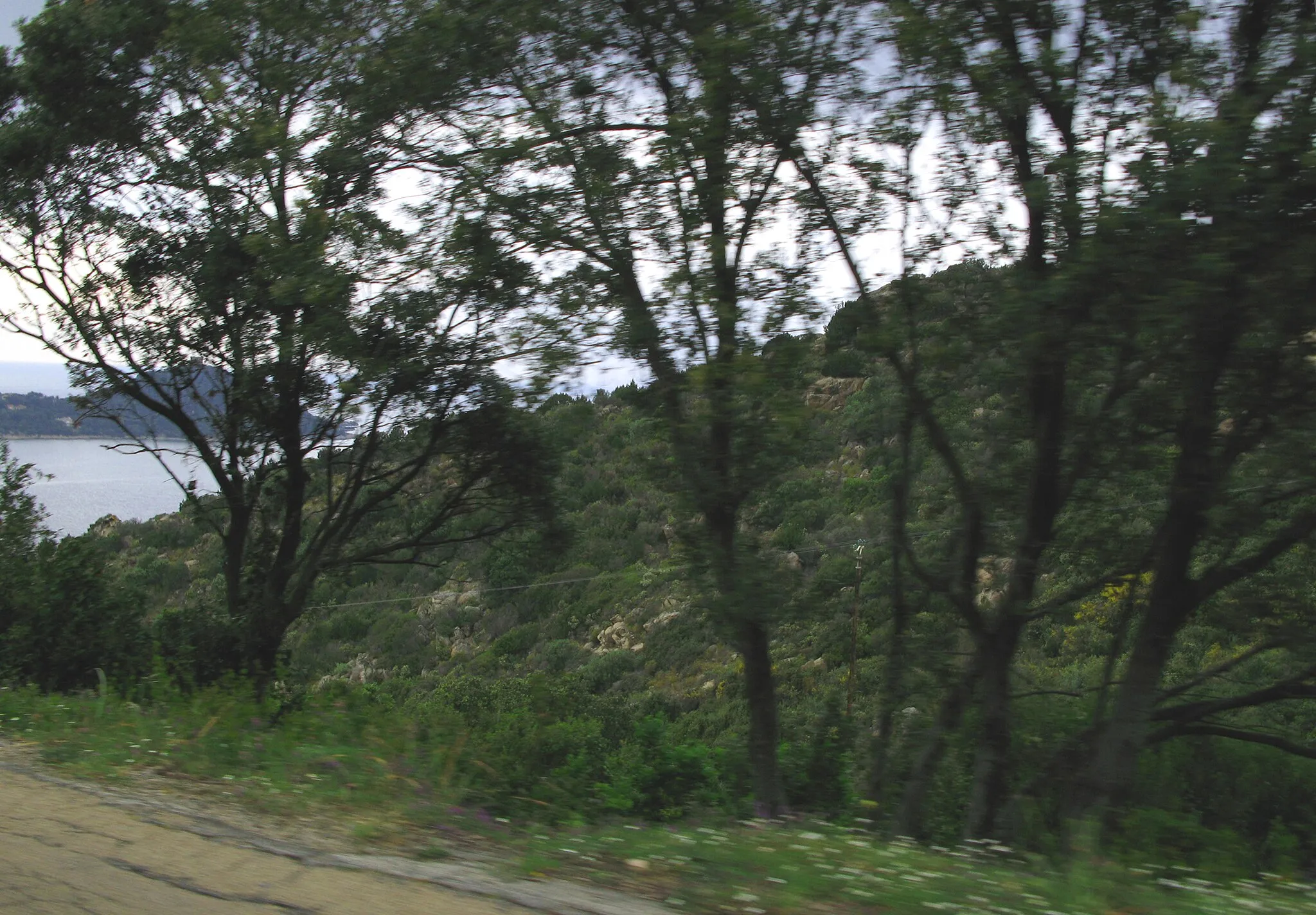 Photo showing: Belvédère-Campomoro (Corse-du-Sud, France)
Le promontoire et la tour génoise de Campomoro, photographiés dans des conditions difficiles : depuis un véhicule en mouvement sur la route départementale D 121 (se dirigeant vers Propriano) et avec des arbres, talus ou autres obstacles surgissant brusquement dans le champ.
La tour génoise est un peu visible, sur la ligne oblique du talus, à travers le rideau des arbres.

Camera location 41° 37′ 51.37″ N, 8° 49′ 35.66″ E View this and other nearby images on: OpenStreetMap 41.630937;    8.826571