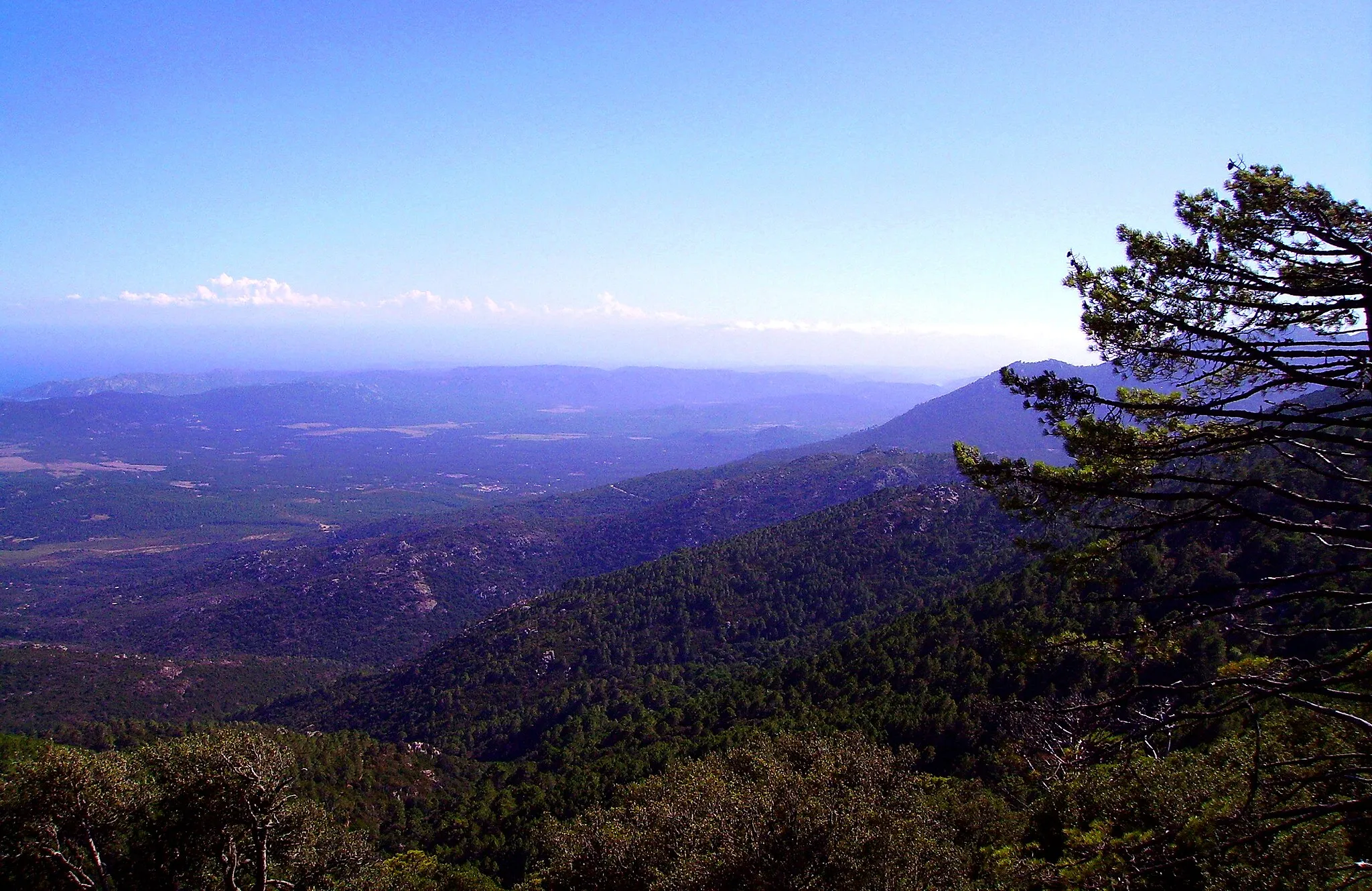 Photo showing: Vue sur la plaine de Freto depuis les environs de l'Ospedale