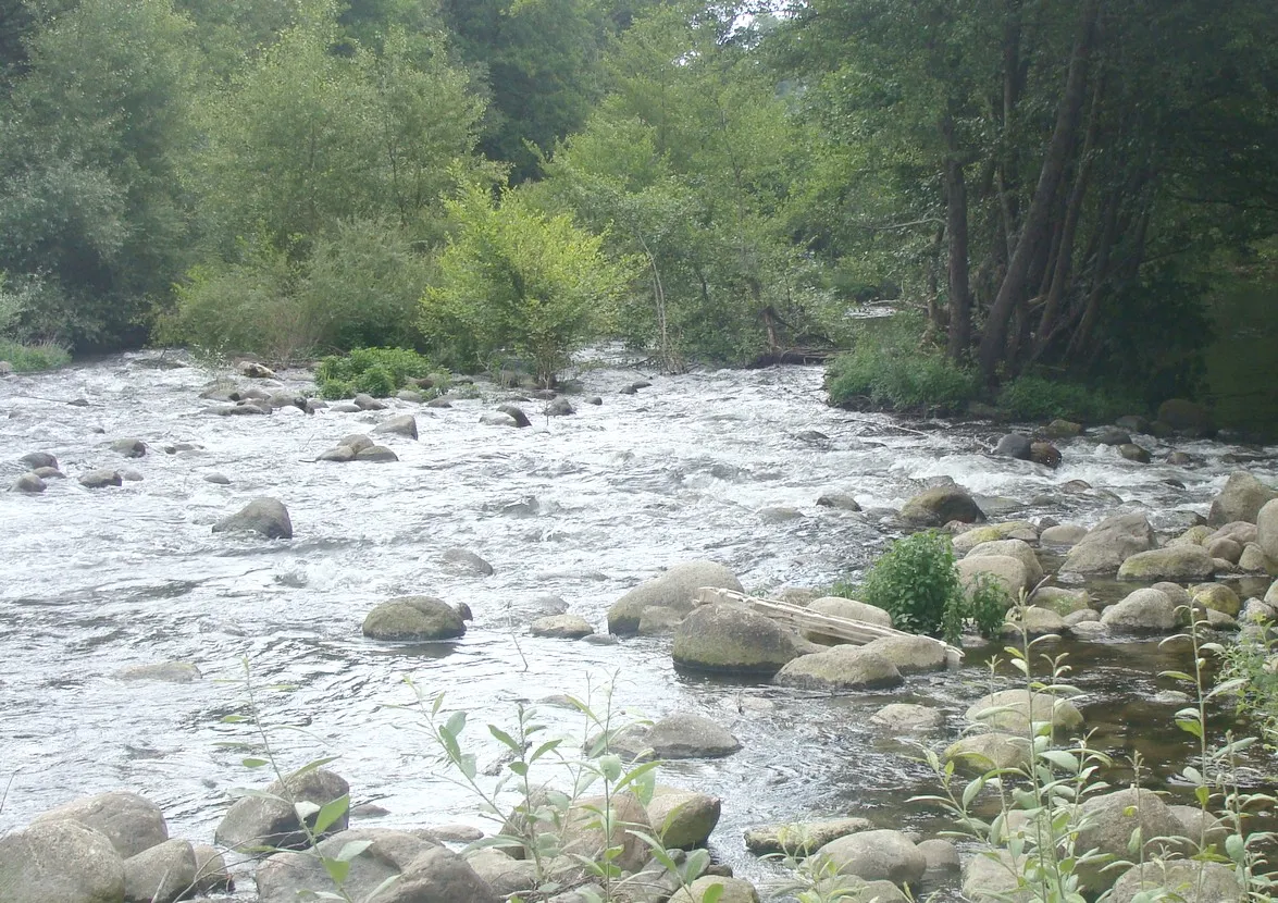 Photo showing: Le lit de l'Abatesco sur le cours moyen de la rivière, entre Chiova et u Fornu.