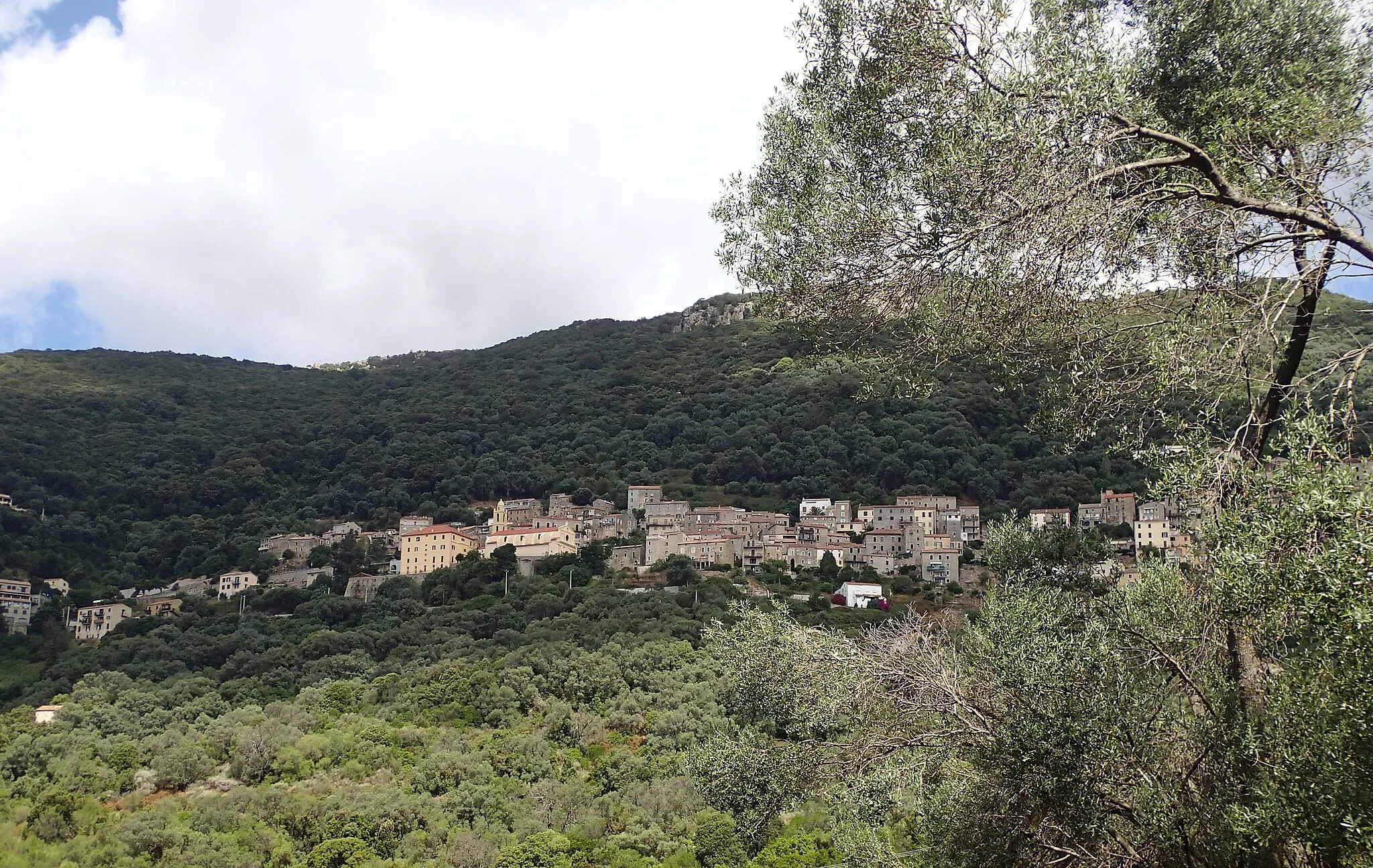 Photo showing: Olmeto, Corse du Sud