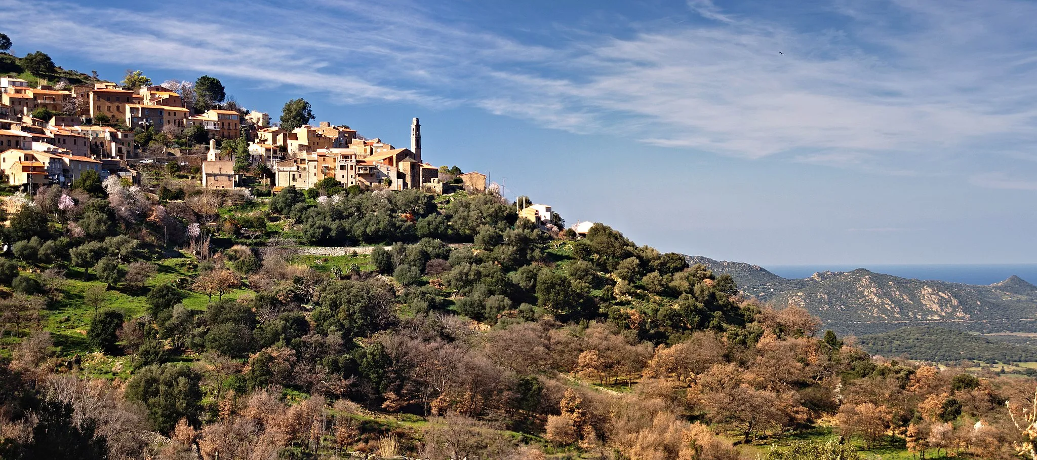 Photo showing: Occhiatana (Corsica) - Panorama sur le village