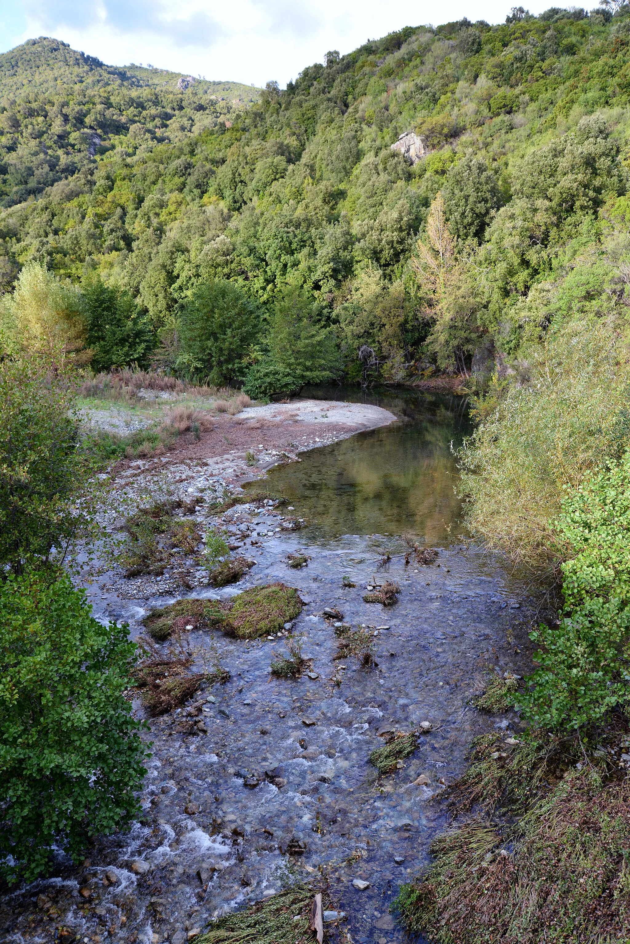Photo showing: Tallone, Serra (Corse) - La Bravona à l'ancien moulin de Granajo, en amont du pont de la RD 16 « à cheval » sur Tallone et Tox (Corse).
