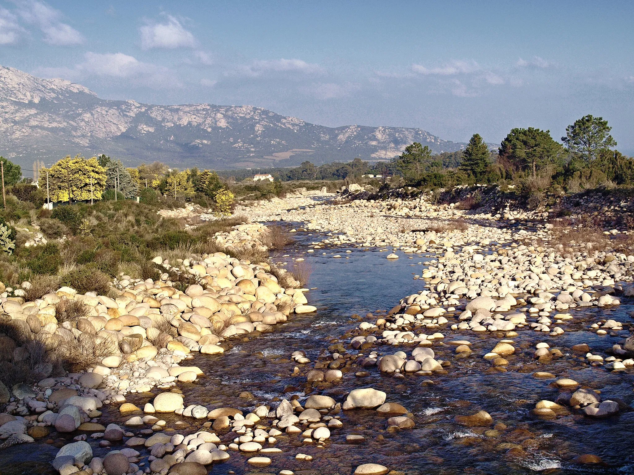 Photo showing: Moncale (Corsica) - La Figarella en aval du pont RD 51