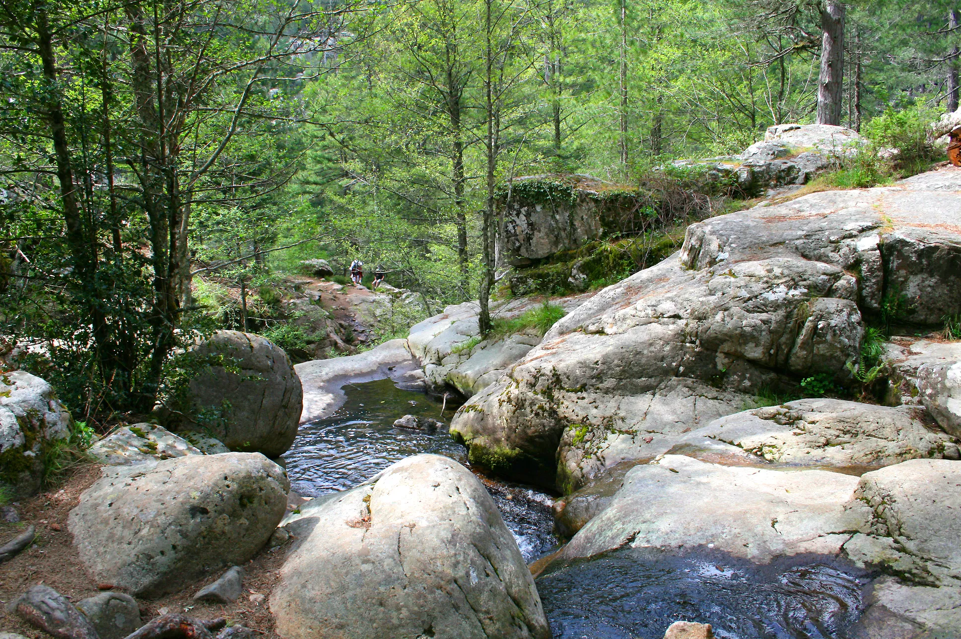 Photo showing: Évisa (Corse du Sud), France, Aïtone forest  - The natural pools of the Aïtone river.