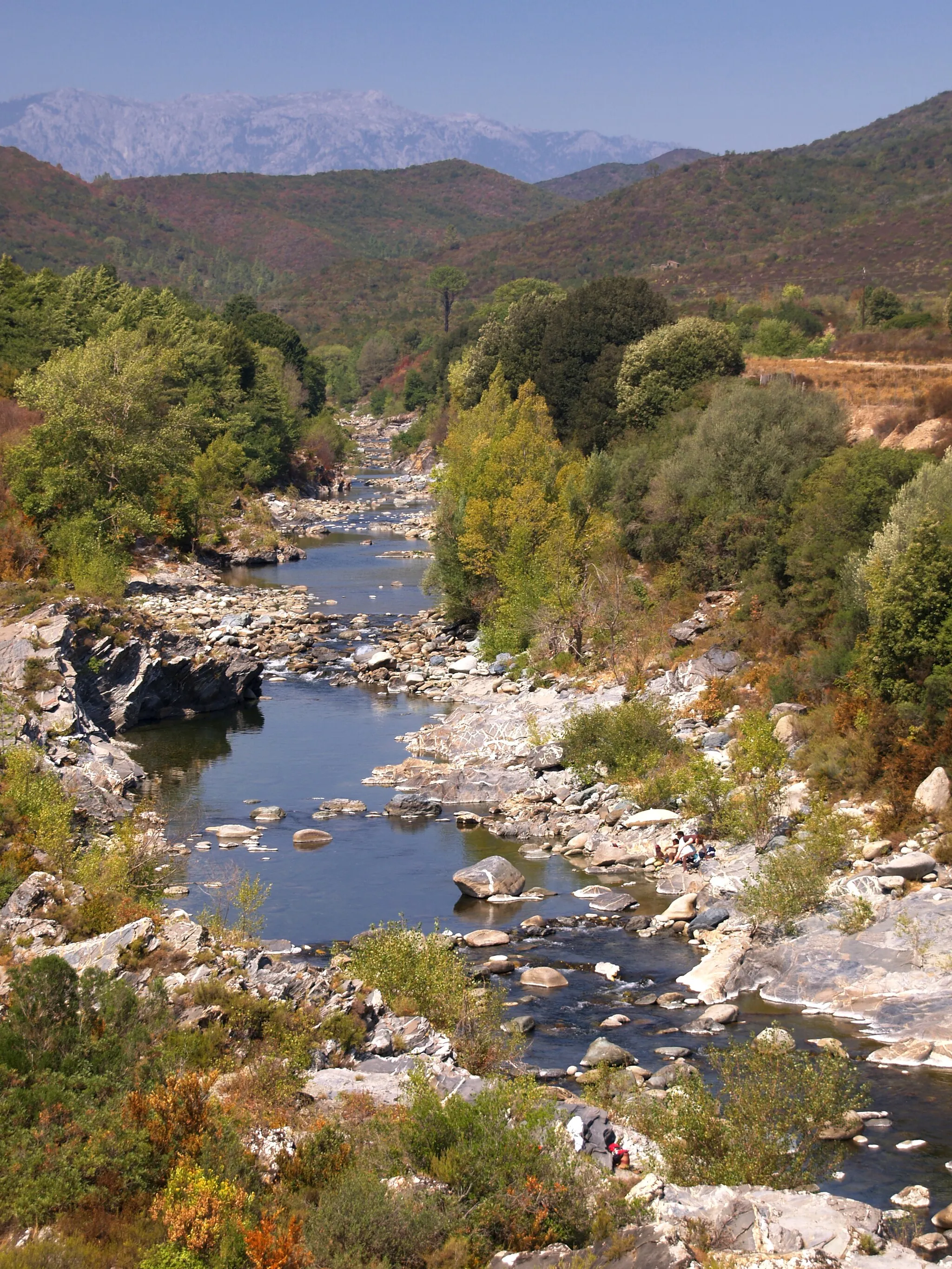 Photo showing: Altiani (Corsica) - Le Tavignano en amont du pont génois de la RN 200