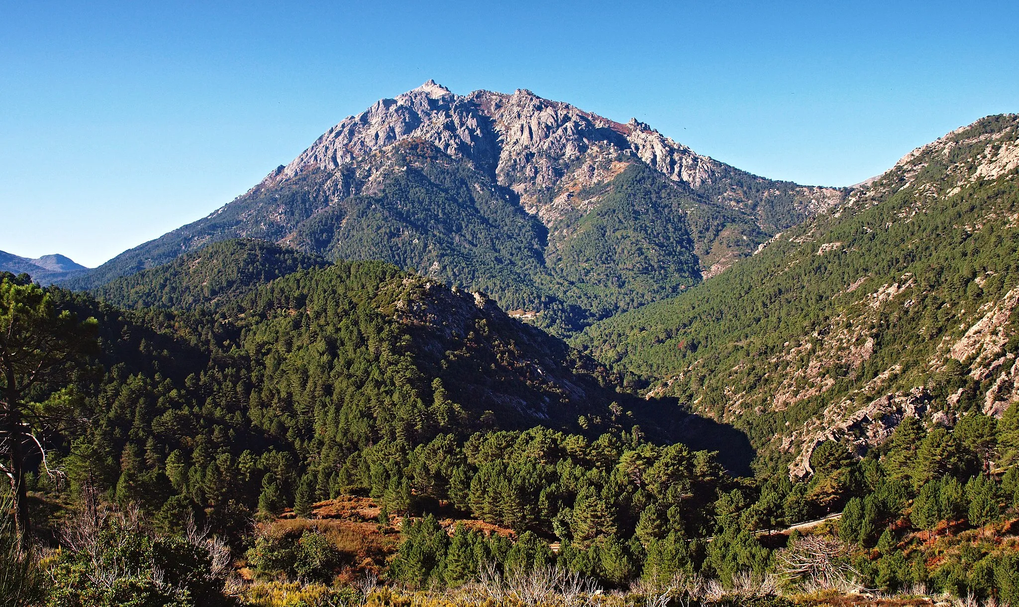 Photo showing: Vivario, Rogna (Corse) - Le Monte d'Oro (2389 m) et partie de la forêt de Vizzavona