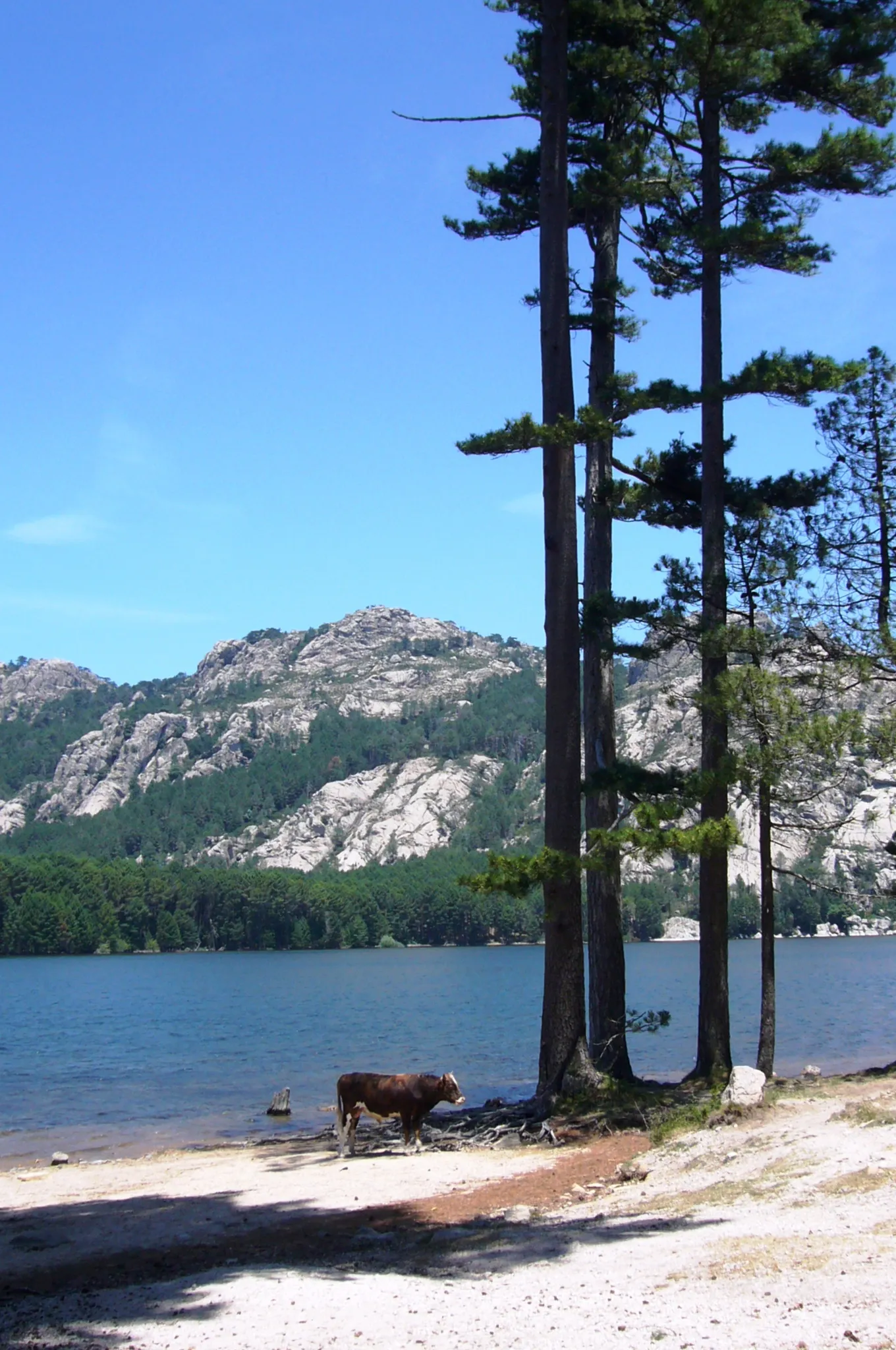 Photo showing: Ospedale Lake, South Corsica