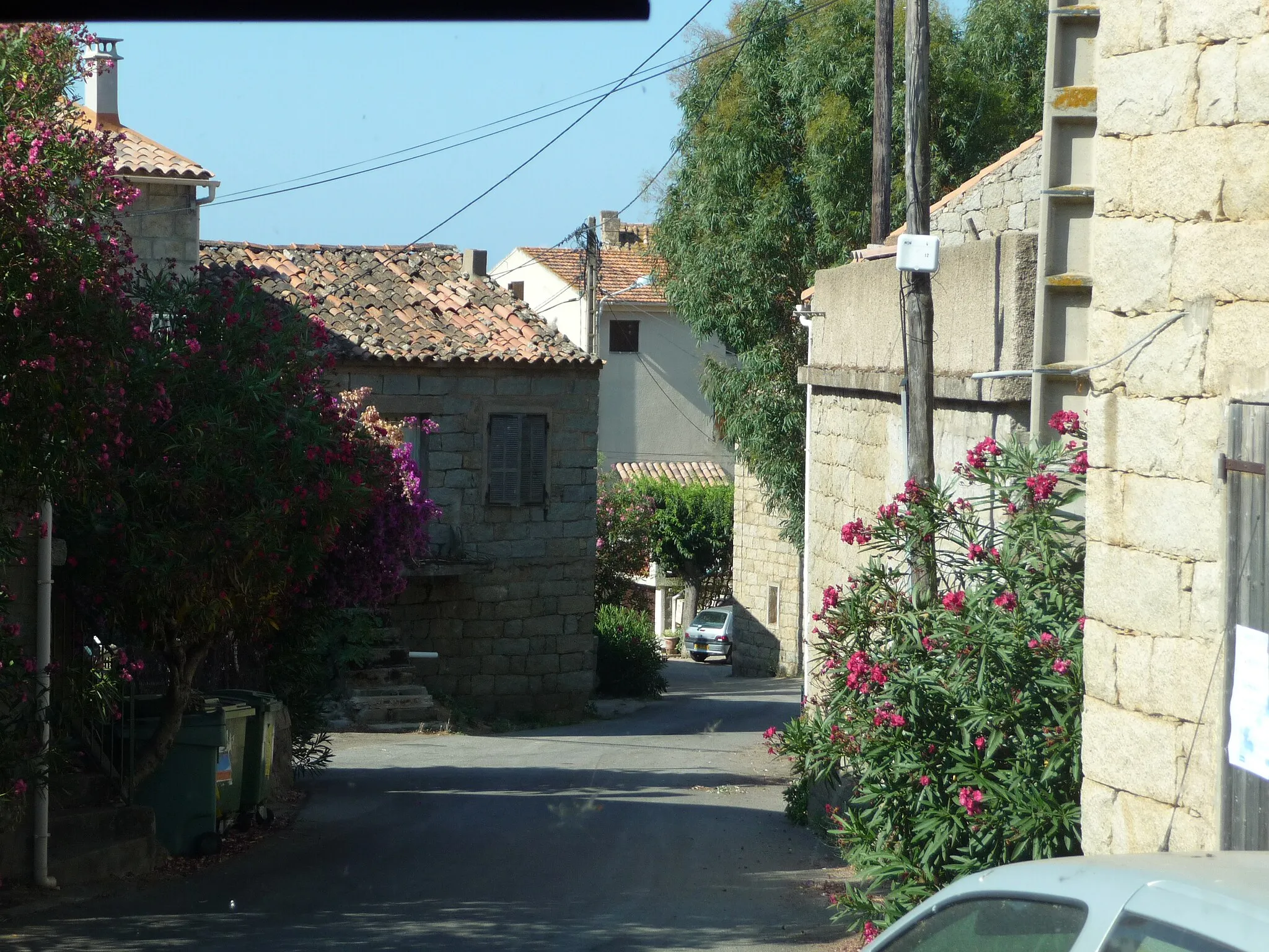 Photo showing: Concarella, Monacia-d'Aullène, Corse