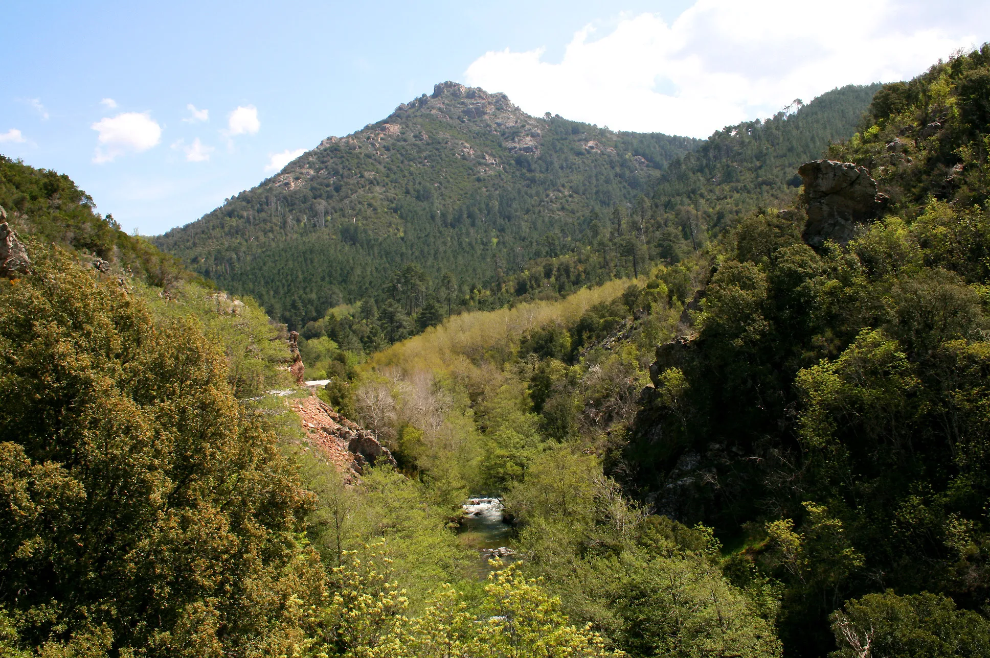 Photo showing: Tolla ( Corse-du-Sud) - France, les gorges du Prunelli.