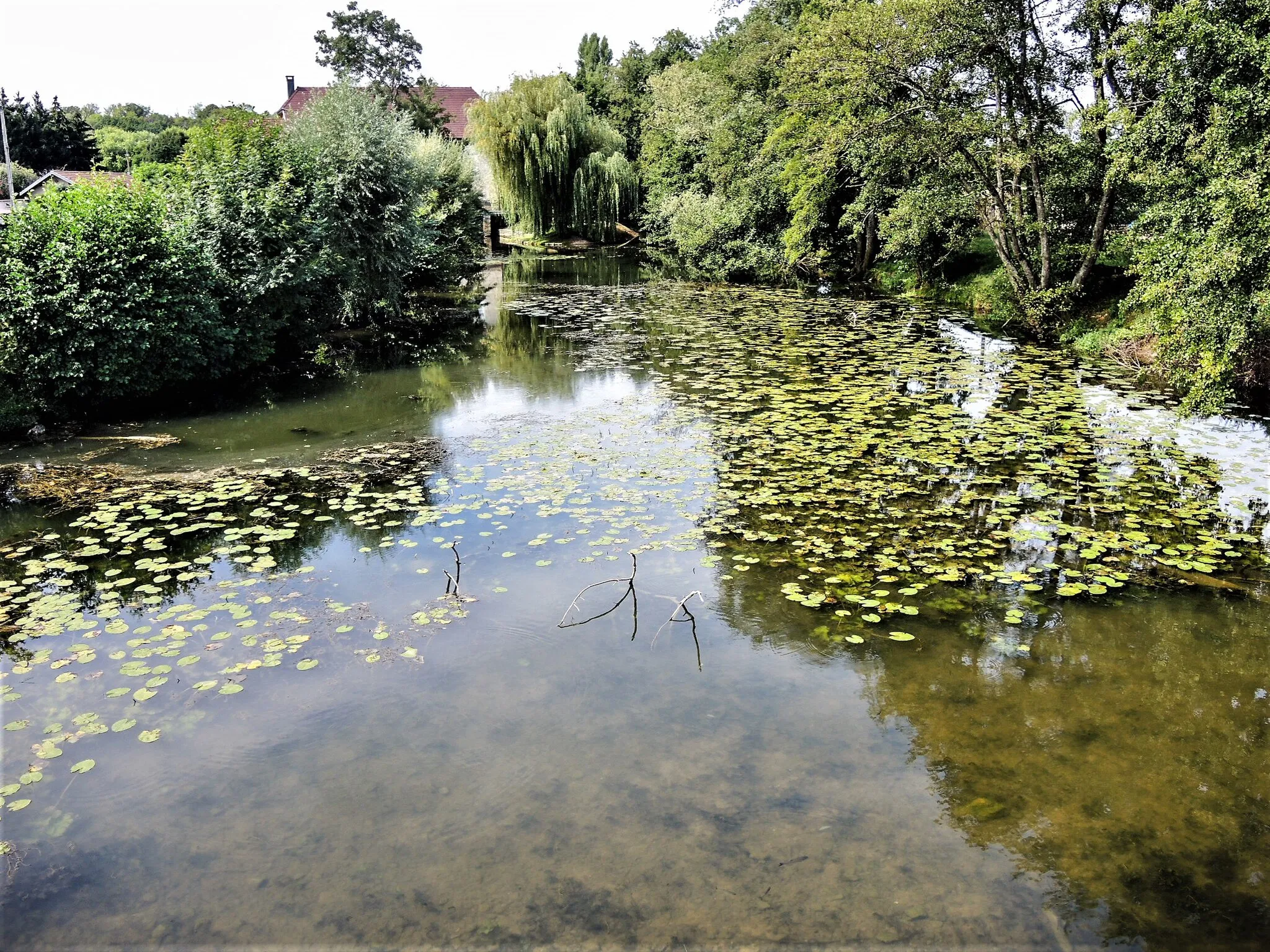 Photo showing: Branche sud de la rivière Salon, vue en amont du pont de Dampierre-sur-Salmon