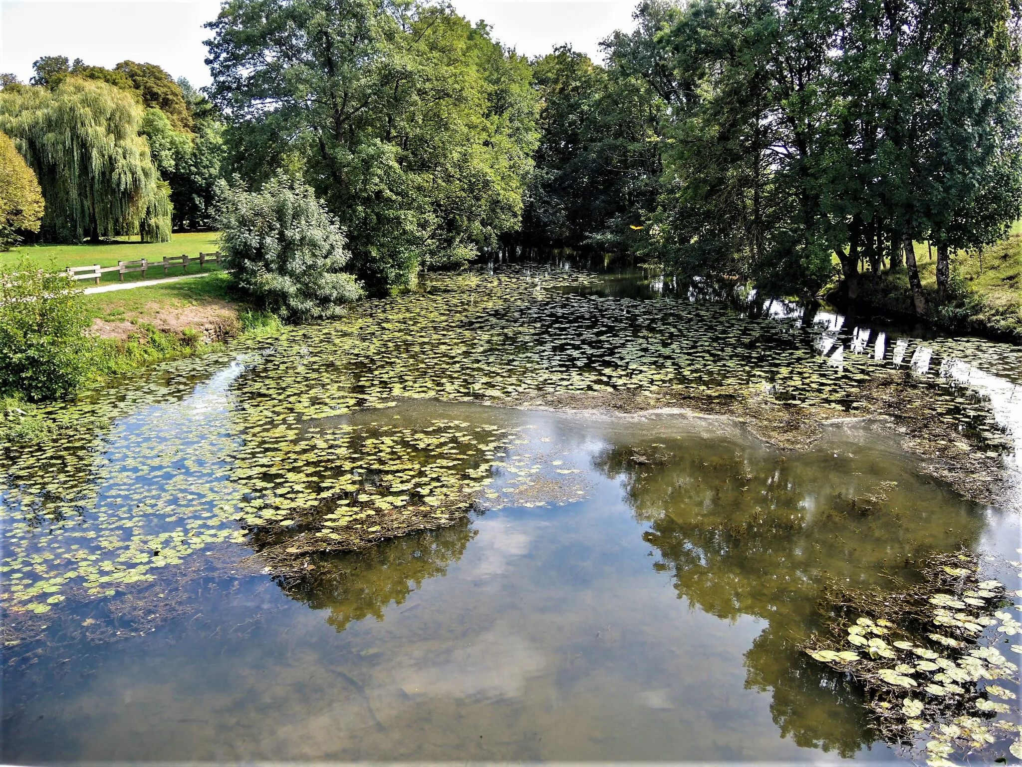 Photo showing: Branche sud de la rivière Salon, vue en aval du pont de Dampierre-sur-Salon