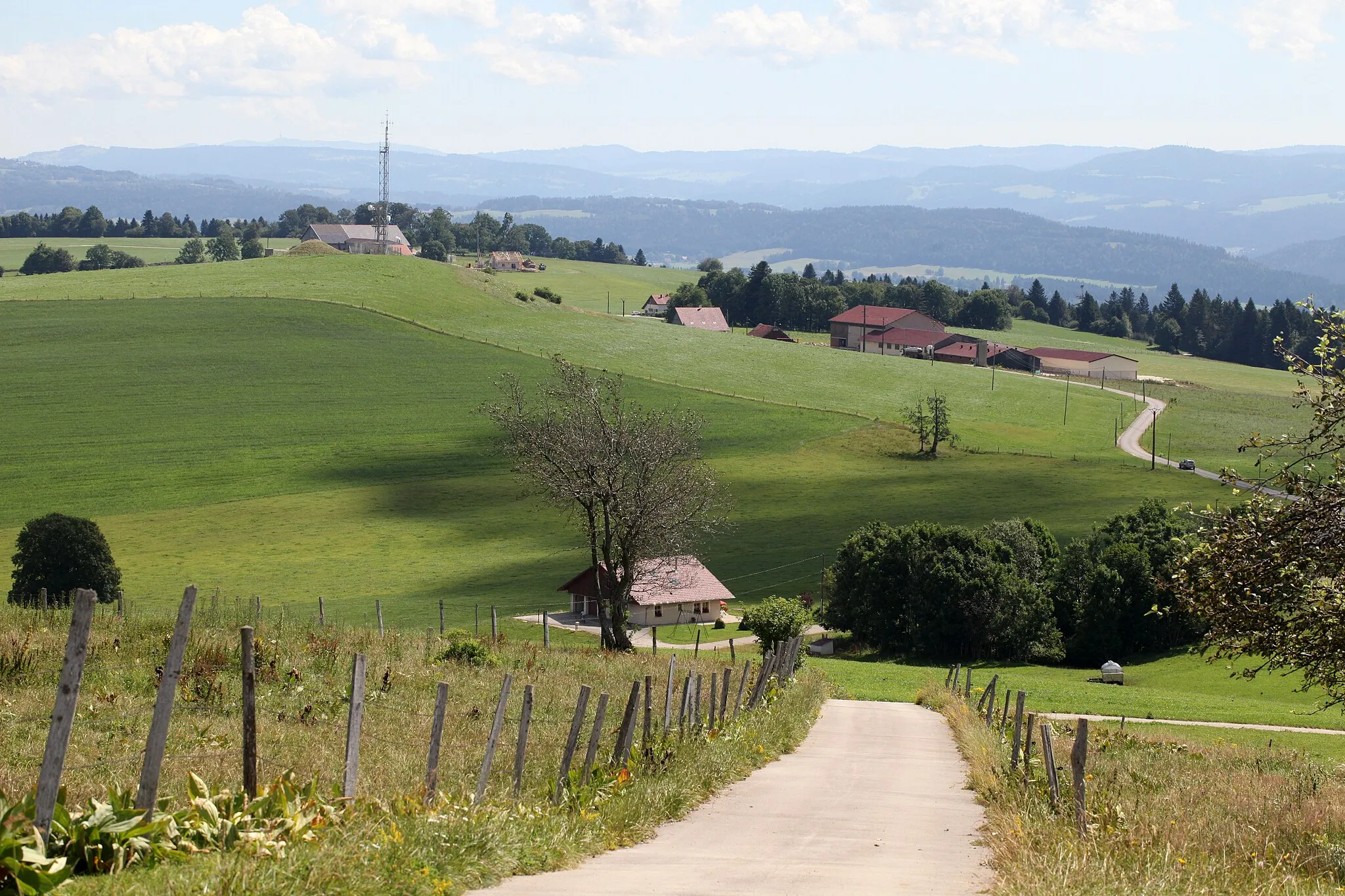 Photo showing: Vue du sommet du Crêt Monniot vers l'est.