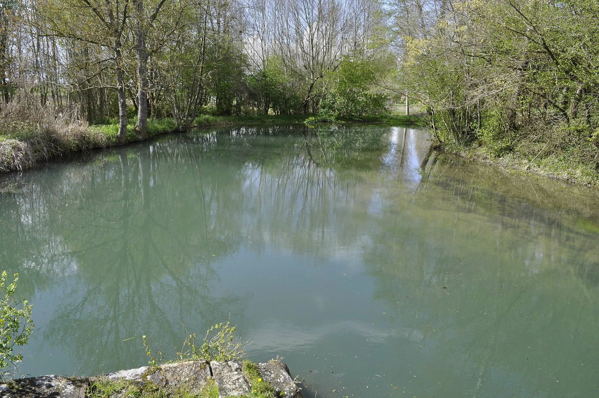 Photo showing: Confluence de la Bèze et de l'Alban à Drambon (Côte d'Or).