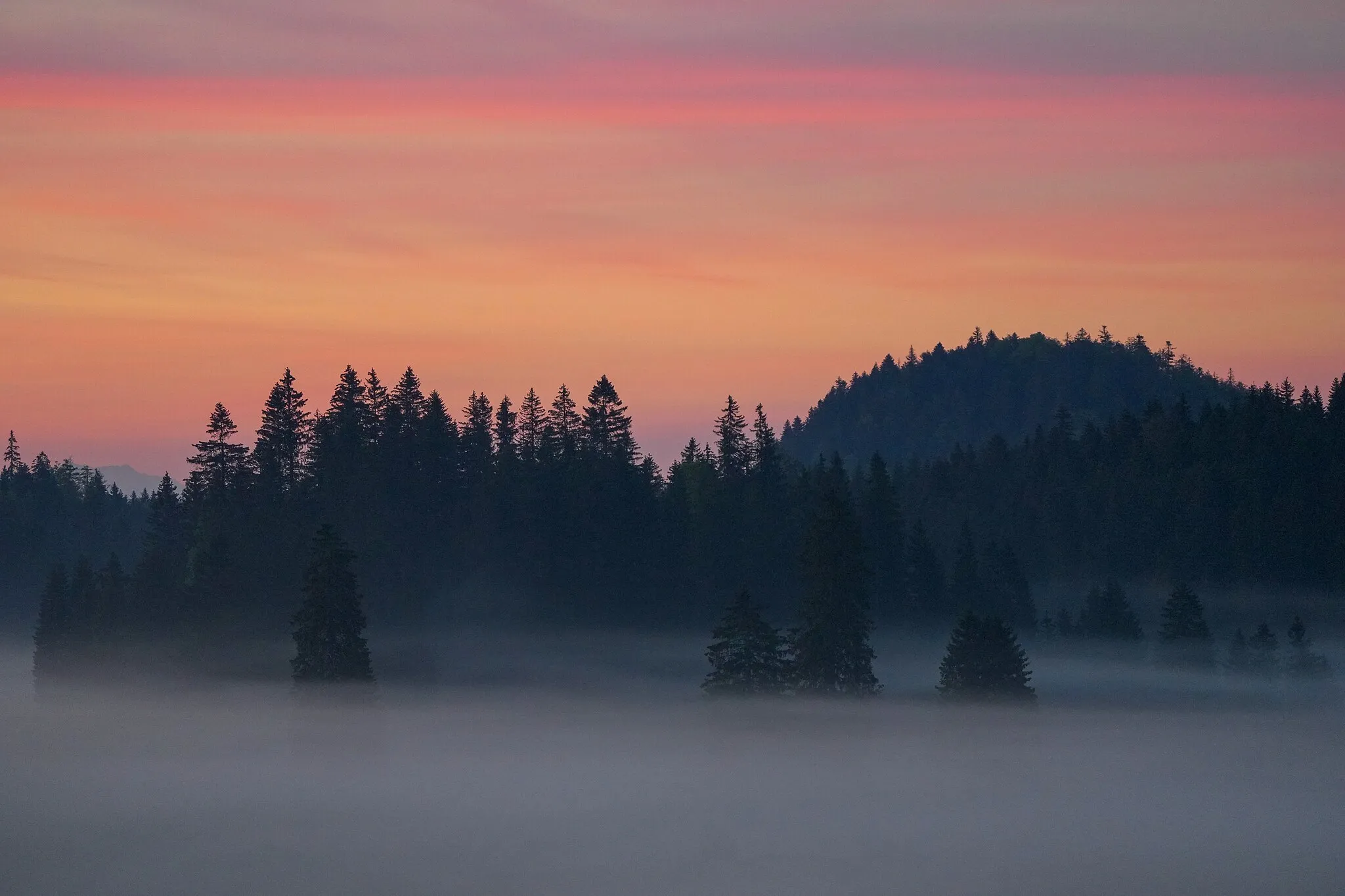 Photo showing: Sunrise and mist at Col de la Givrine‎, Parc naturel régional Jura vaudois