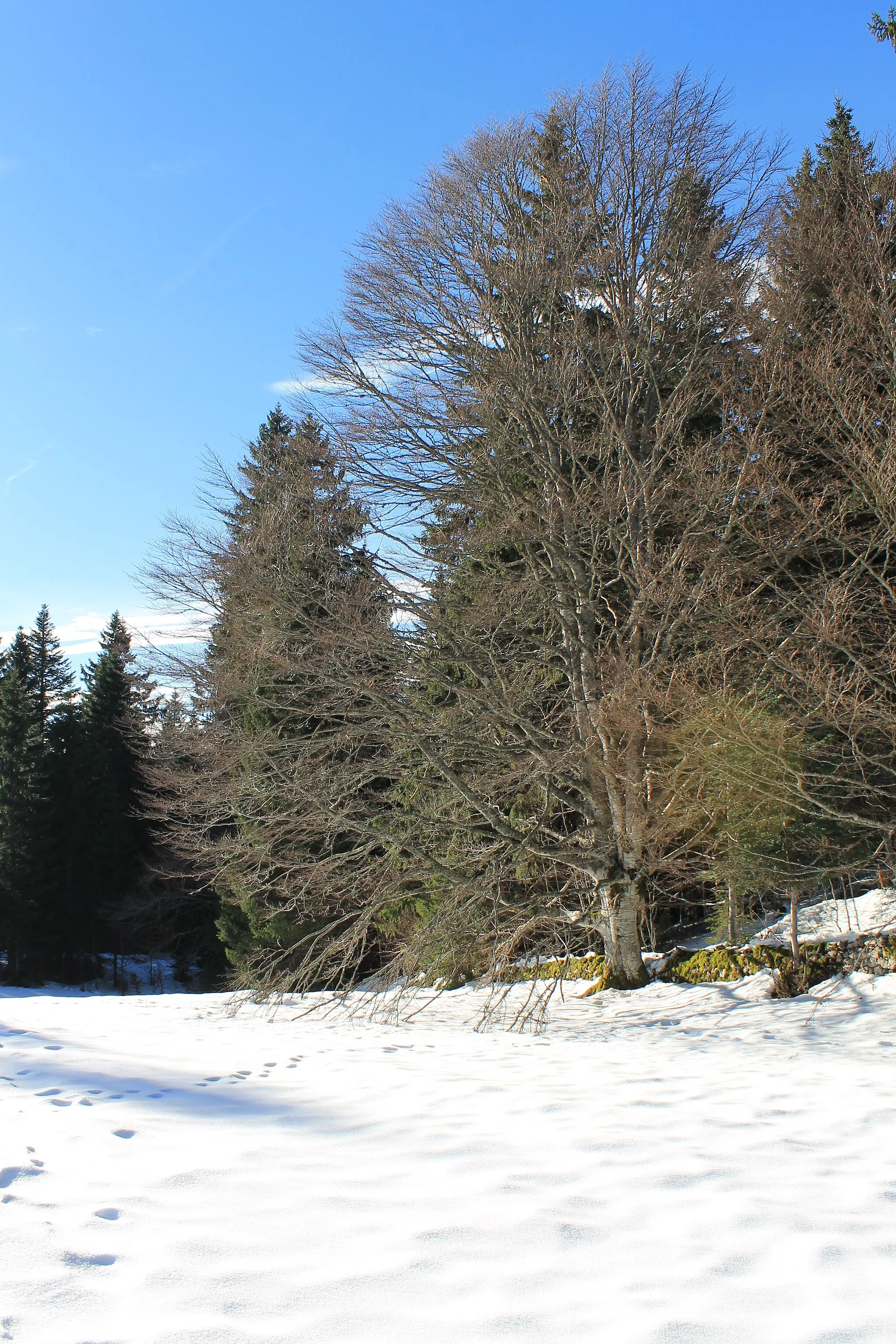 Photo showing: La Givrine - La Cure via la boucle du Sollier