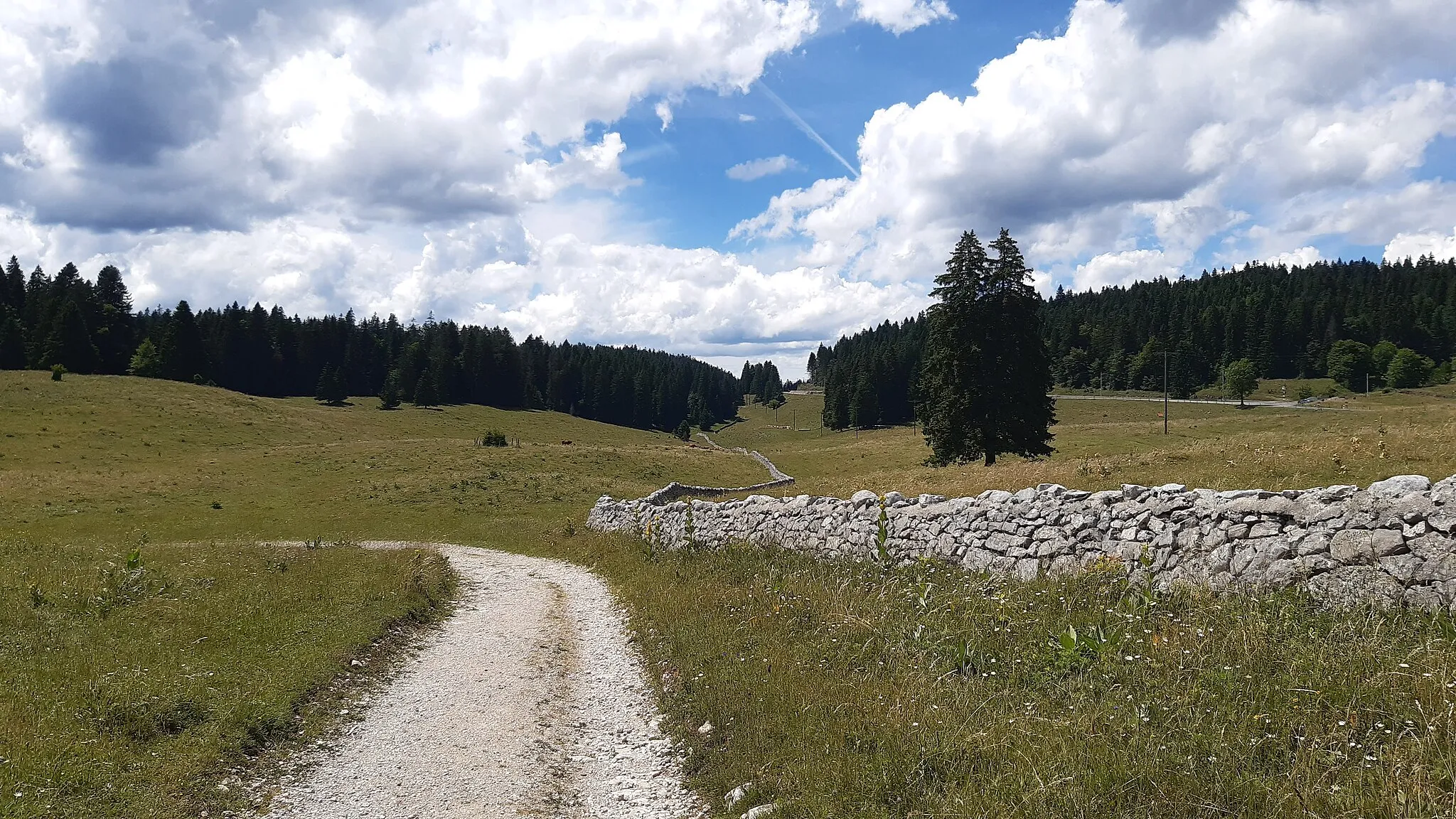 Photo showing: Landscape in Jura near La Cure. Above 1000 m altitude, Jura's meadows offer a picturesque scenery.